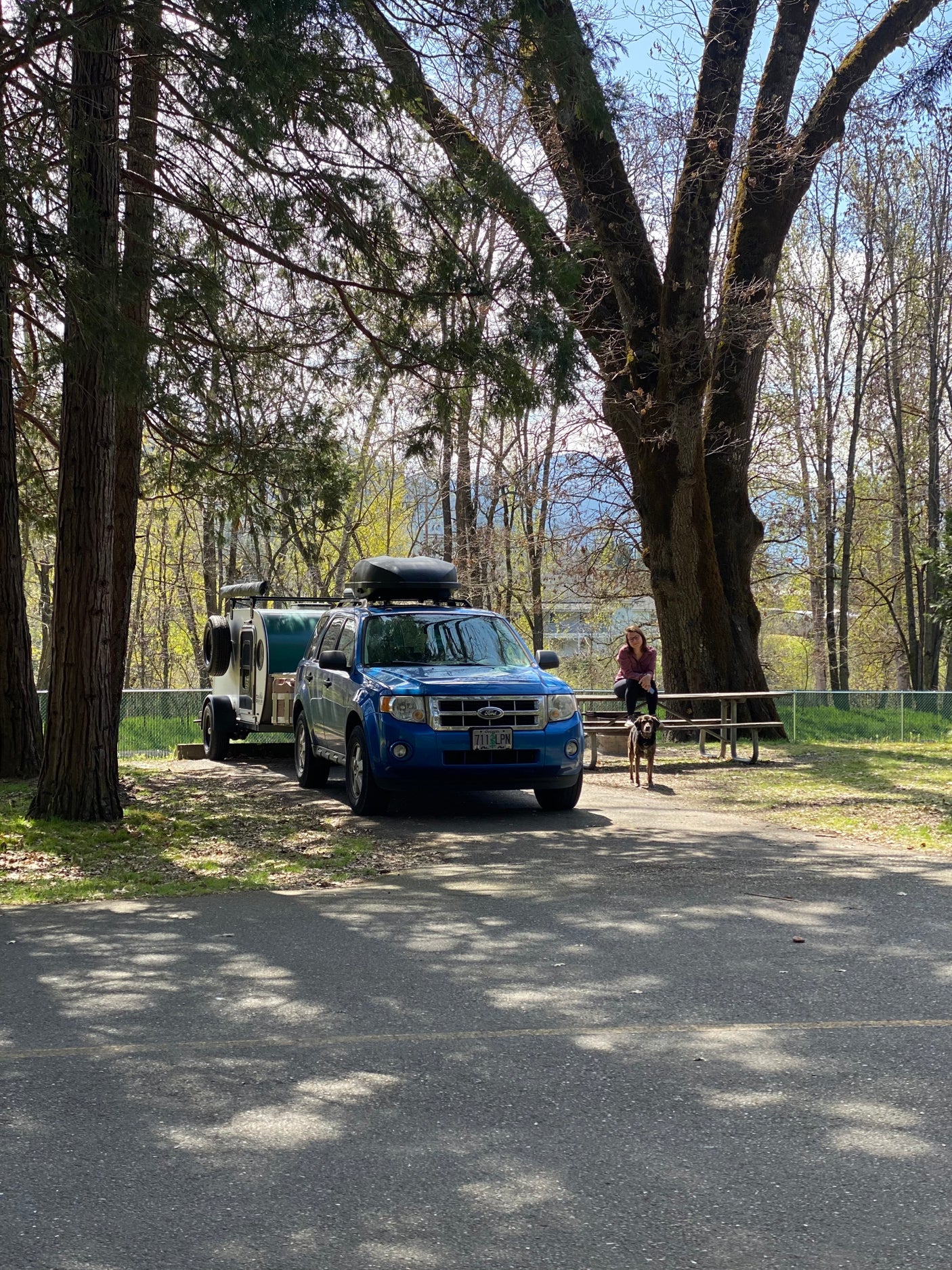 Blue Ford Escape towing a teardrop trailer (RV rental) at a shaded campsite. A woman and dog relax by a picnic table amidst trees.
