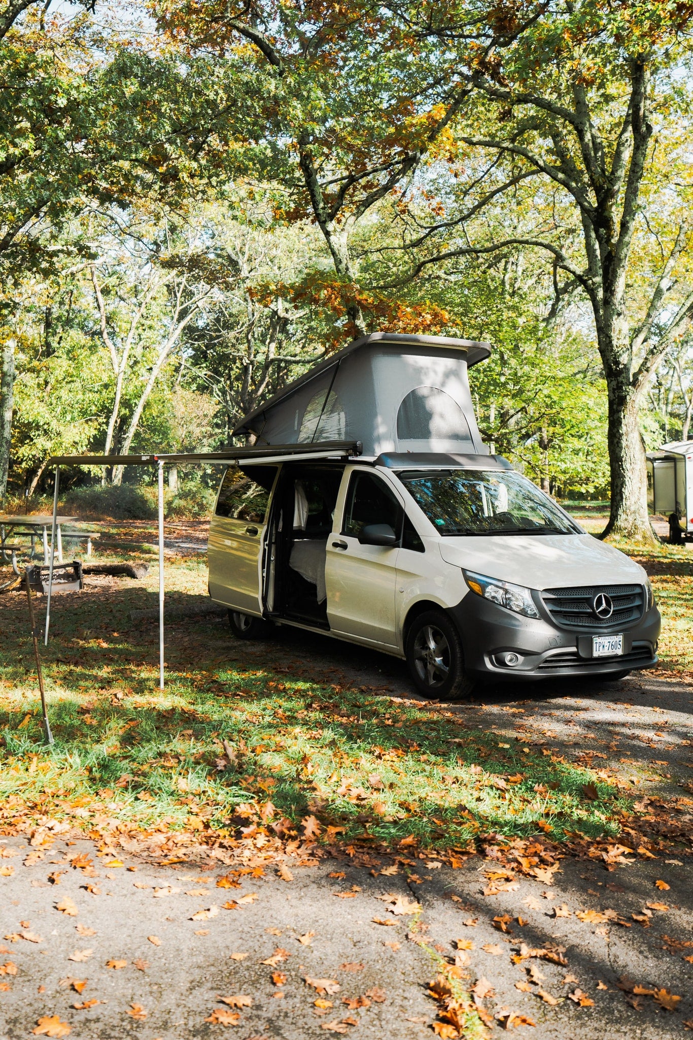 is set for camping amidst autumn trees