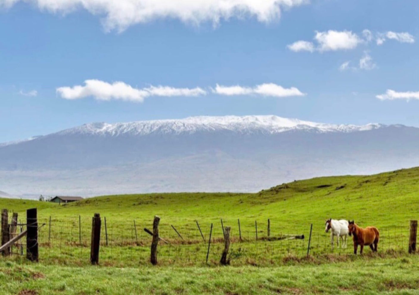 Scenic view of a snow-capped mountain over lush green fields with horses and a fence. Perfect RV rental adventure awaits.