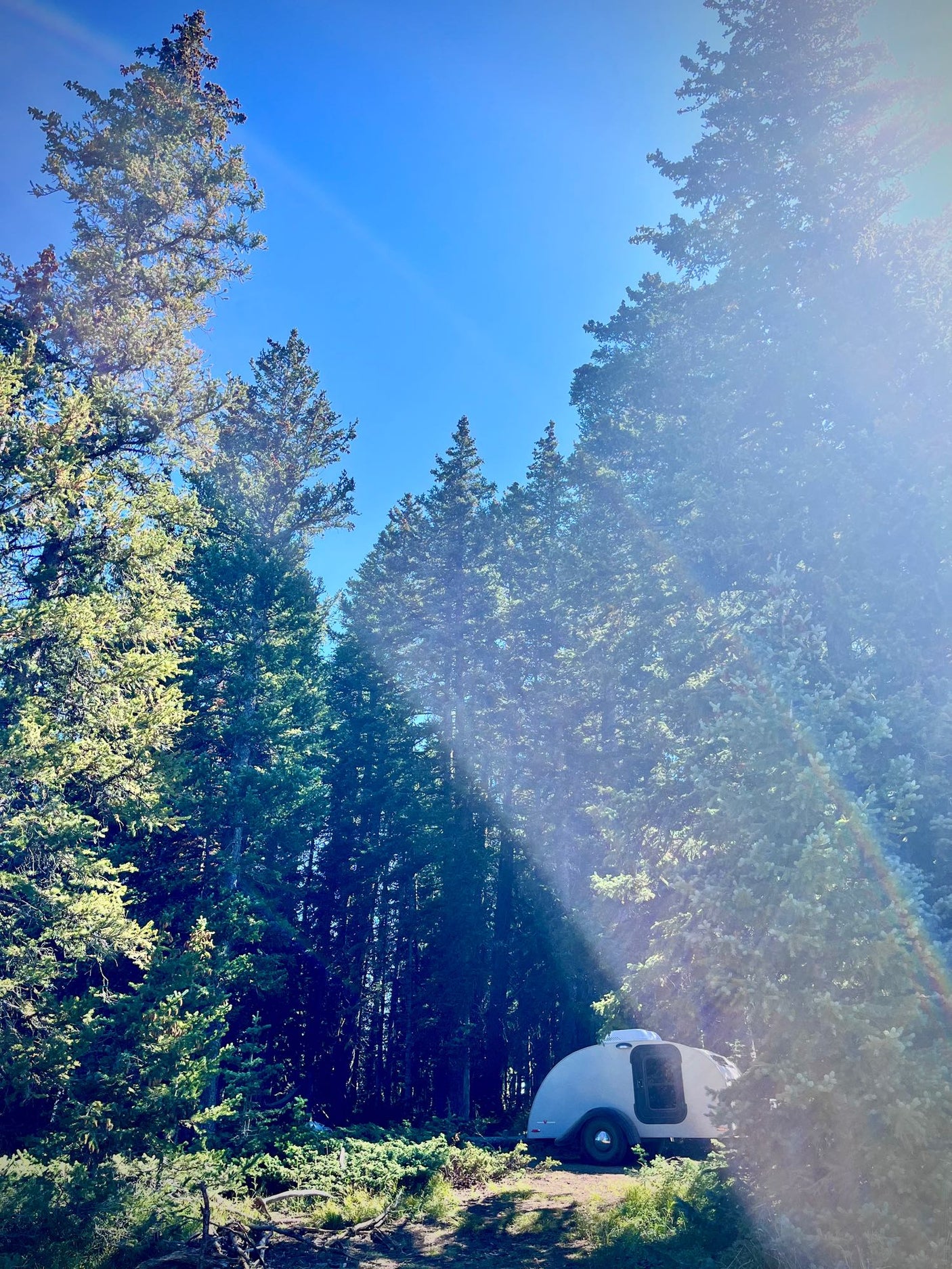 inviting space.|Inside an RV rental