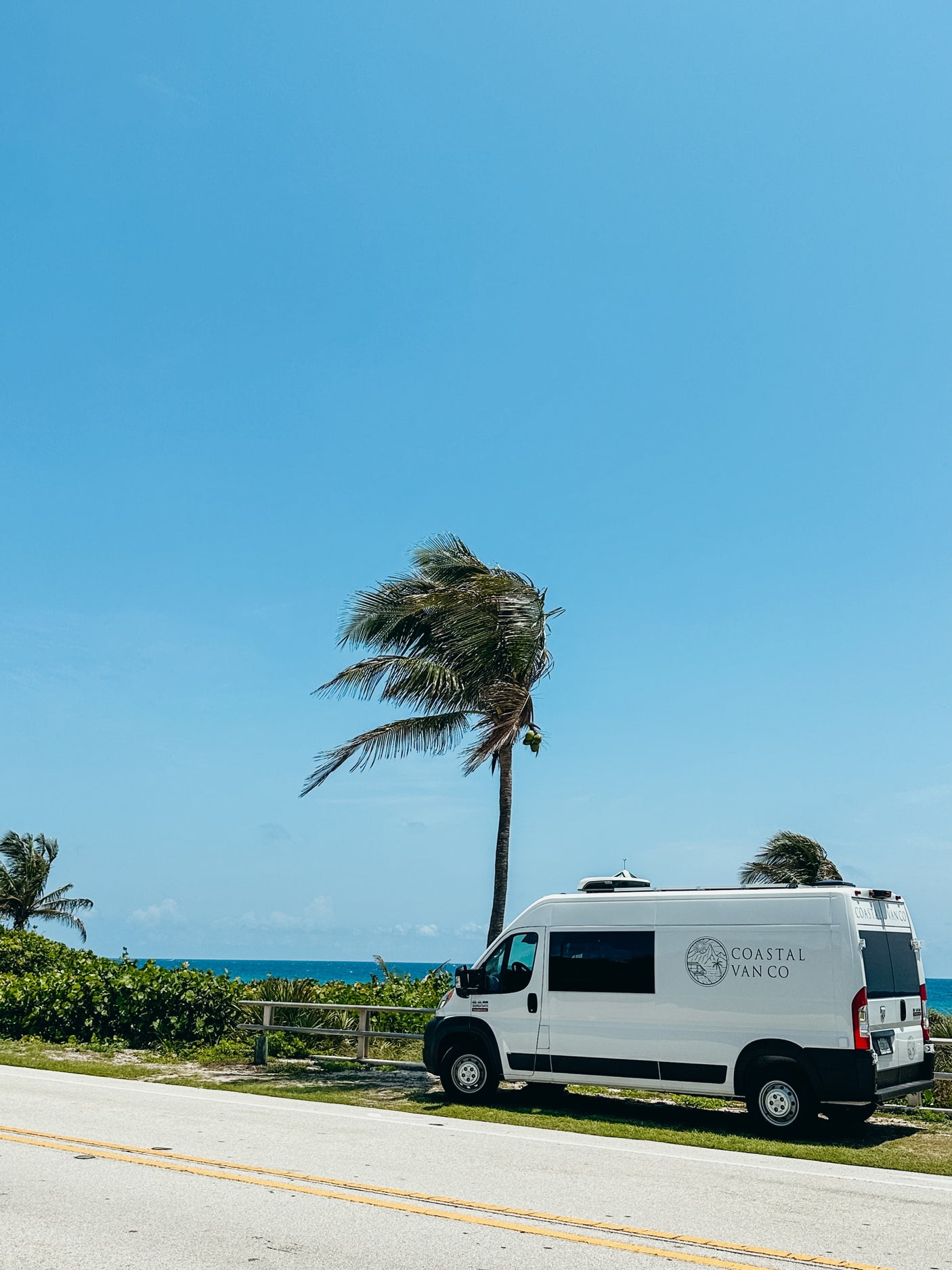 White "Coastal Van Co" RV rental van parked by the ocean with a swaying palm tree under a clear blue sky.