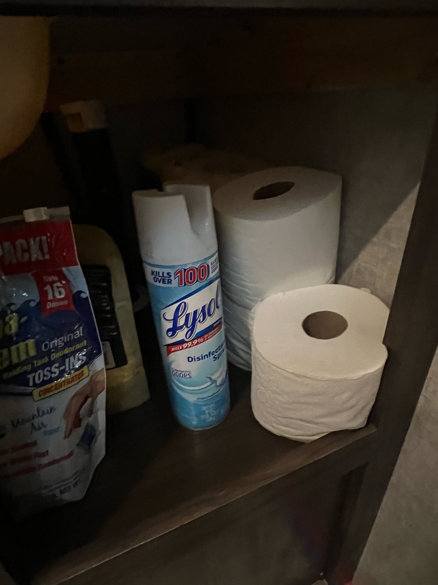 RV essentials for an rv rental: Lysol spray, toilet paper, and holding tank deodorizer neatly stored on a shelf.