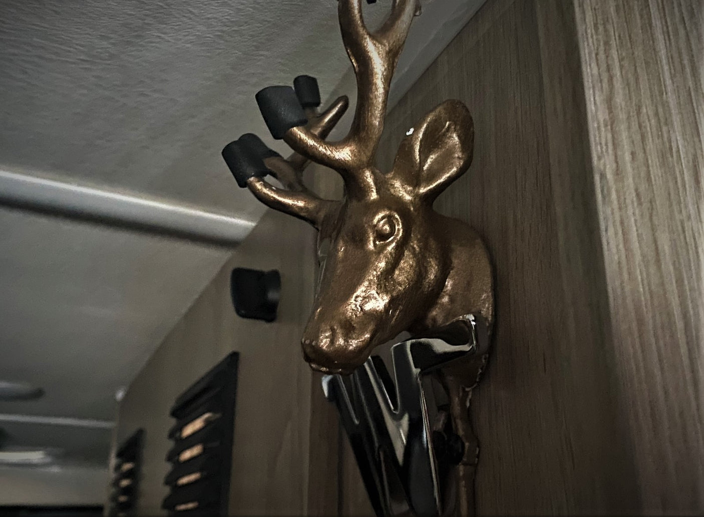 Golden deer head sculpture with antler hooks & shiny holder on wood wall of an RV rental.