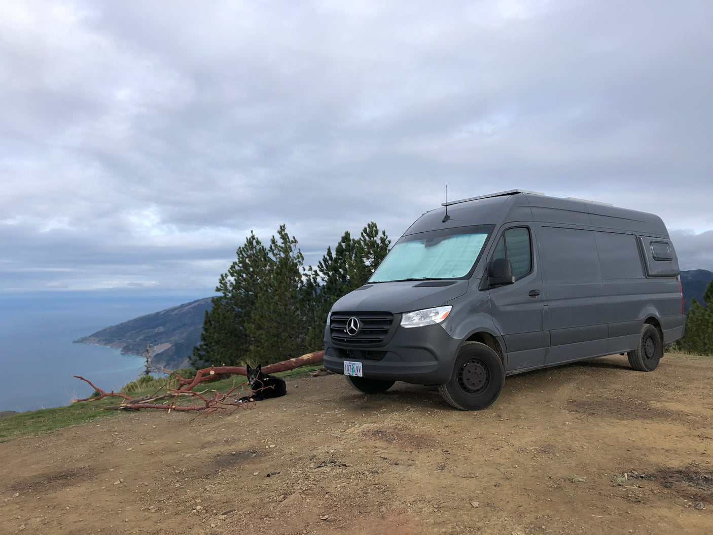 Gray Mercedes-Benz Sprinter camper van (RV rental) and dog overlooking a scenic ocean coast.