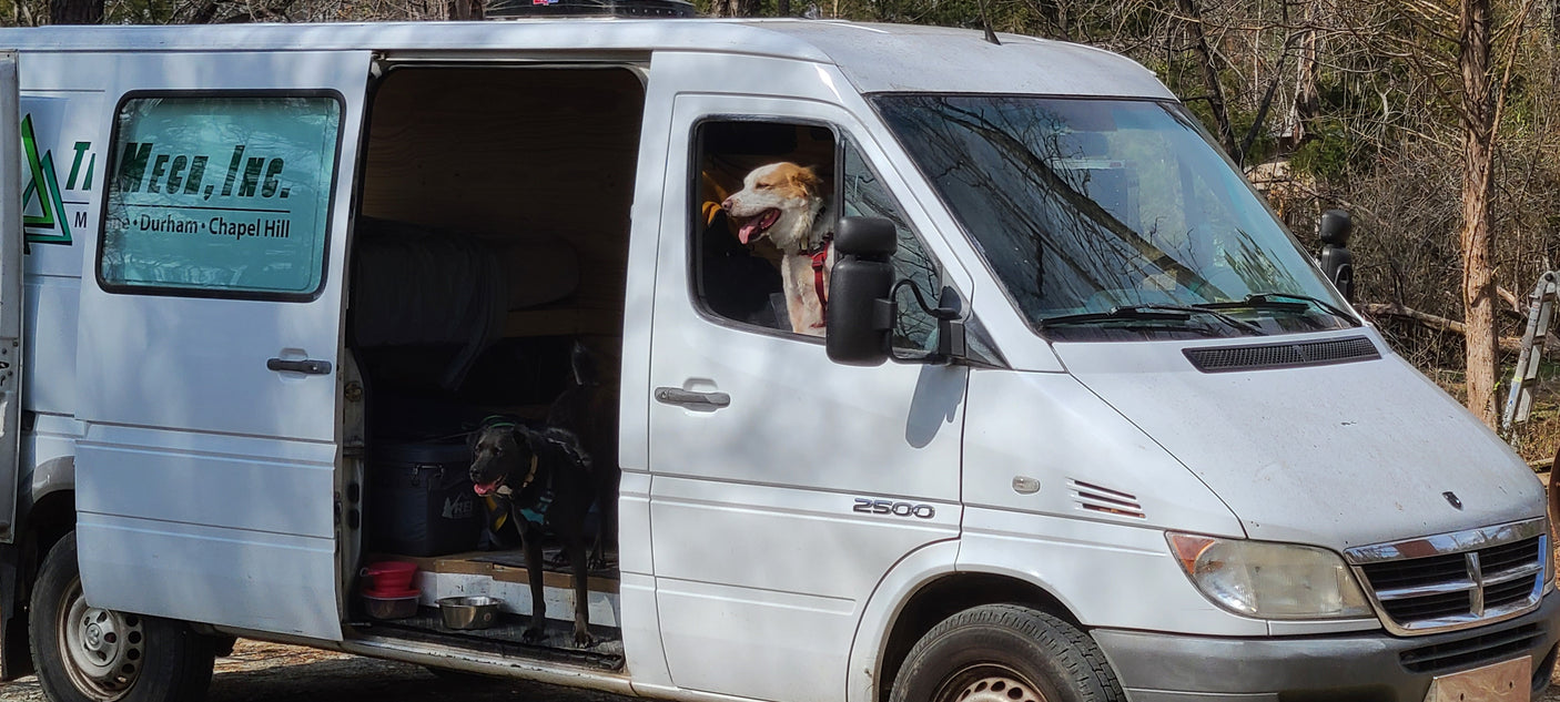 White RV rental van with two dogs. One light-colored dog peeks from the driver's window; a black dog stands by the open side door.