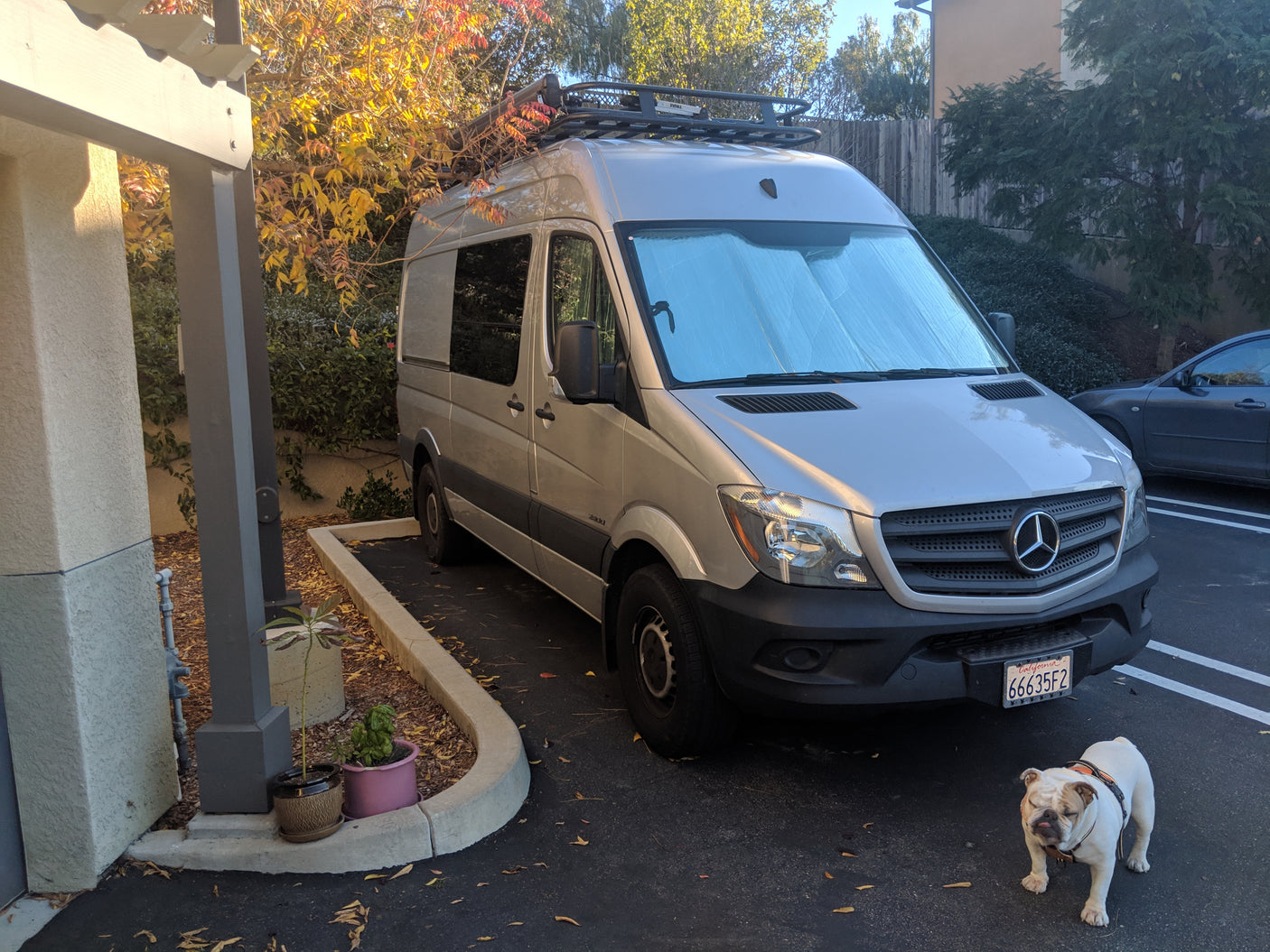 Silver Mercedes Sprinter van RV rental, parked with a bulldog. Ideal for pet-friendly travel adventures.