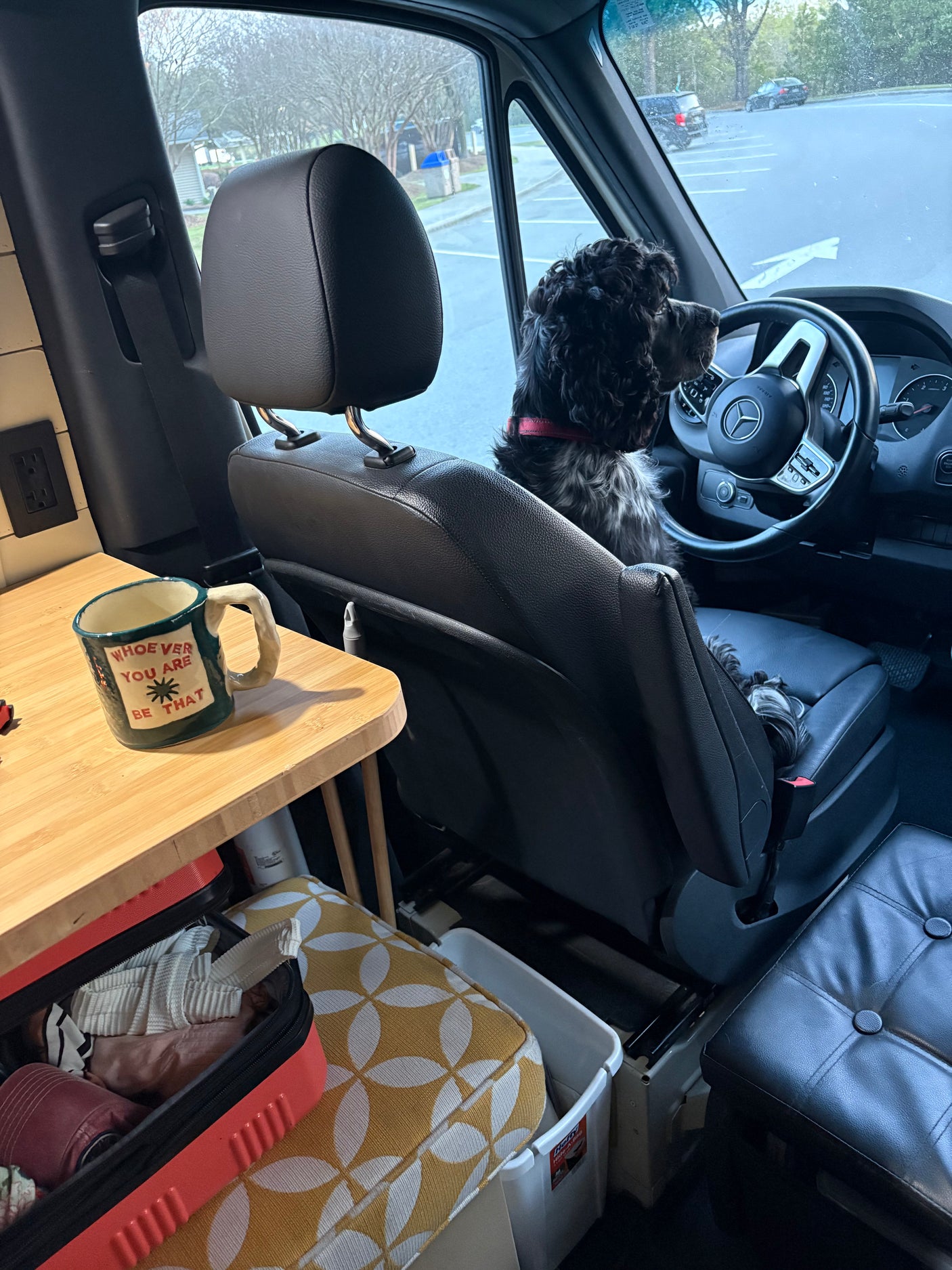 A black dog sits in a Mercedes RV rental's driver seat. A mug with "WHOEVER YOU ARE BE THAT" is on the cozy wooden table.