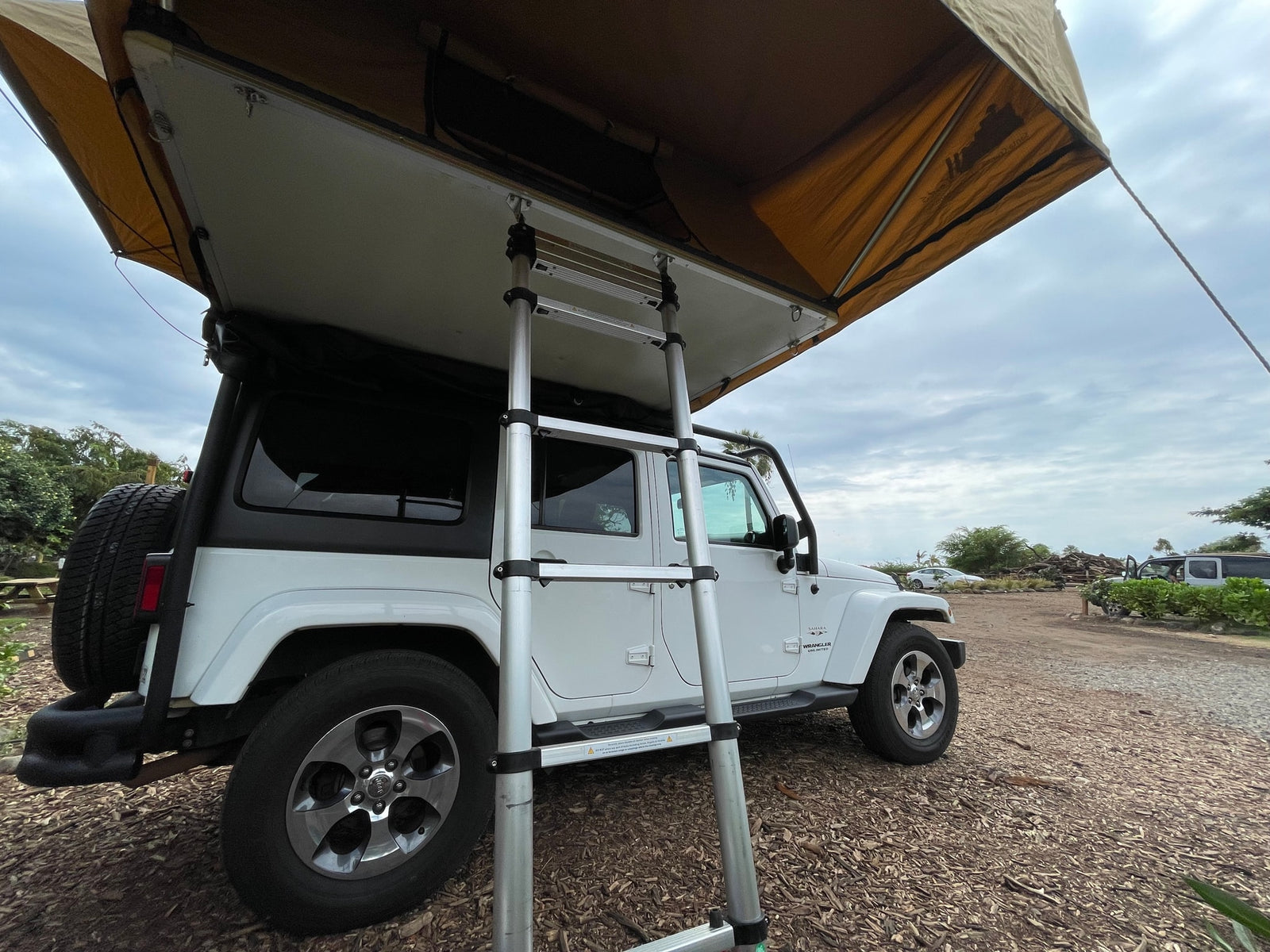 White Jeep Wrangler RV rental with a deployed rooftop tent and ladder, set up for camping on wood chips.