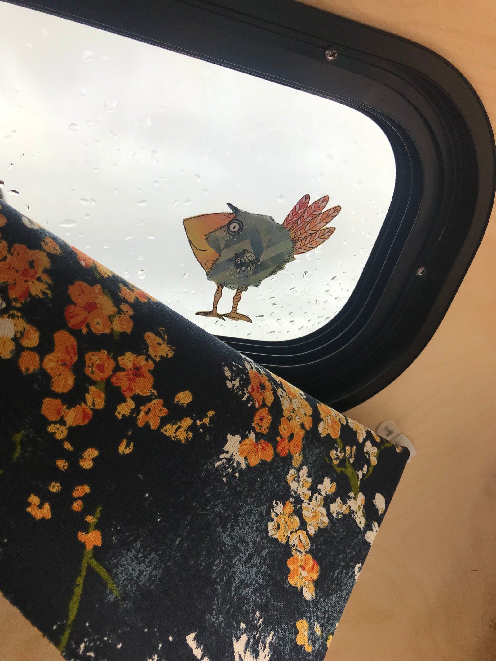 Cozy RV rental interior with a whimsical bird on the rainy window and a floral curtain.