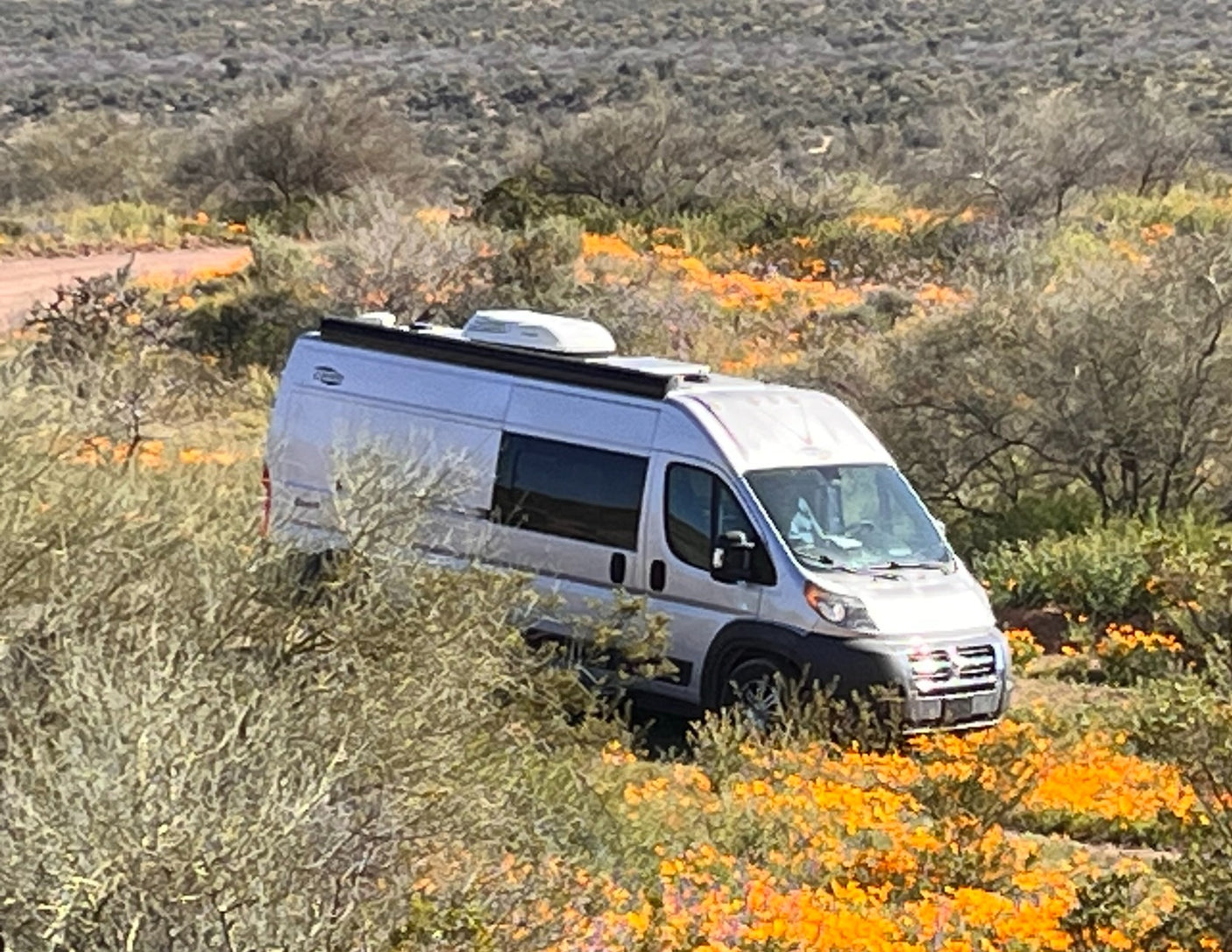 Silver camper van rv rental surrounded by vibrant orange wildflowers in a sunny desert landscape.