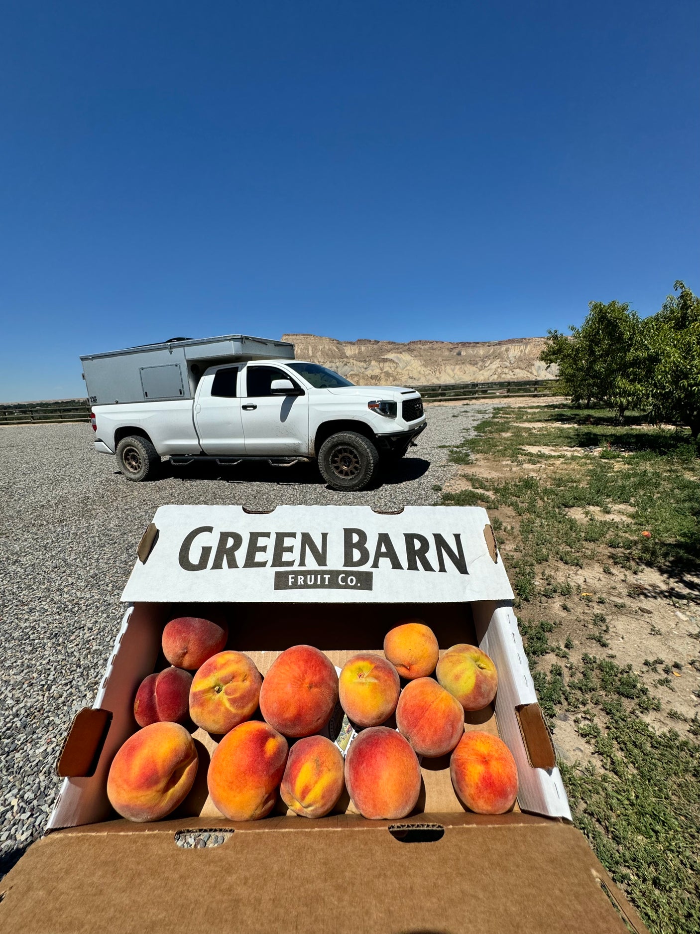 Fresh peaches in a "Green Barn Fruit Co." box are displayed with a white overland truck, resembling an RV rental, in an orchard.