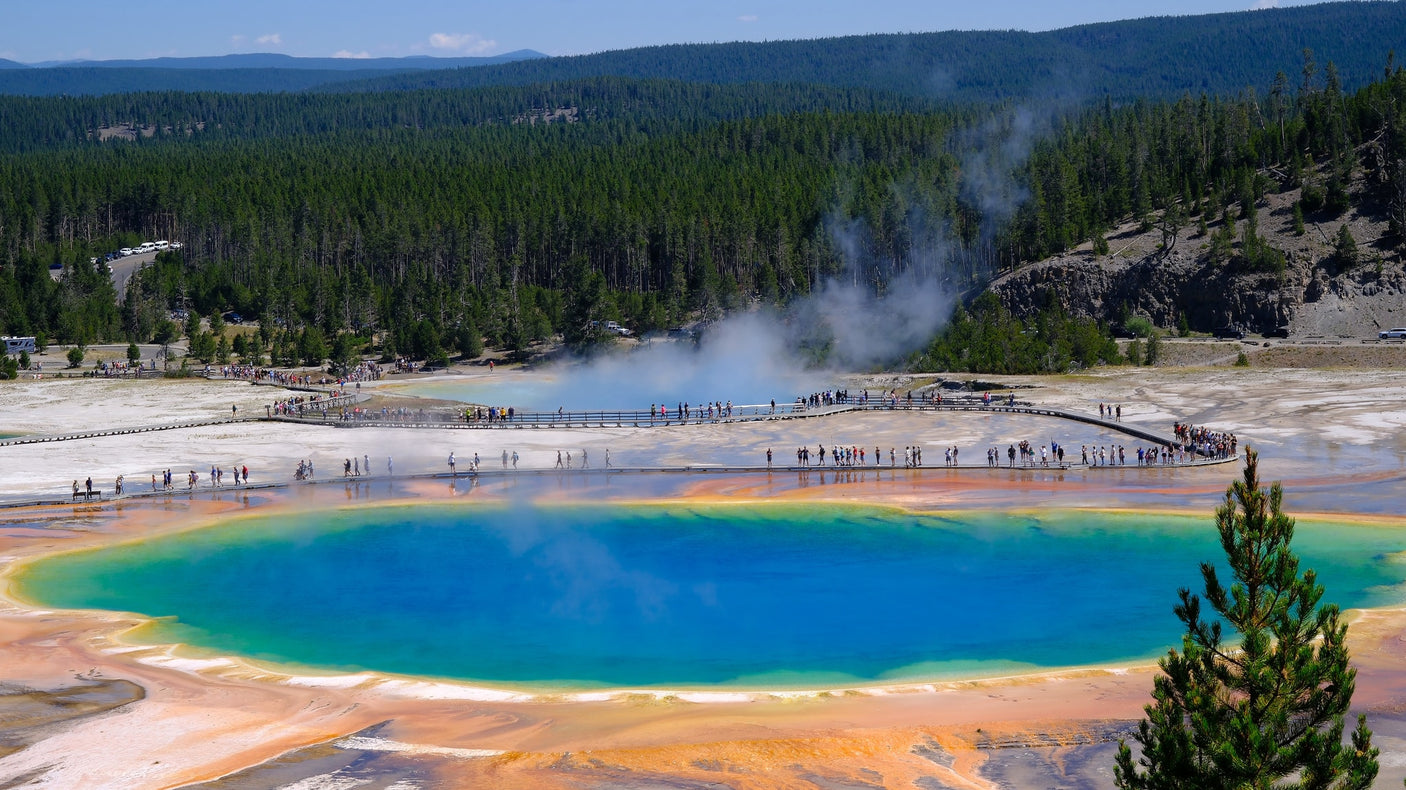 colorful gorge. Explore this National Park beauty with an RV rental.|A grey Winnebago Revel RV rental is parked in a mountain meadow filled with yellow wildflowers and pine trees