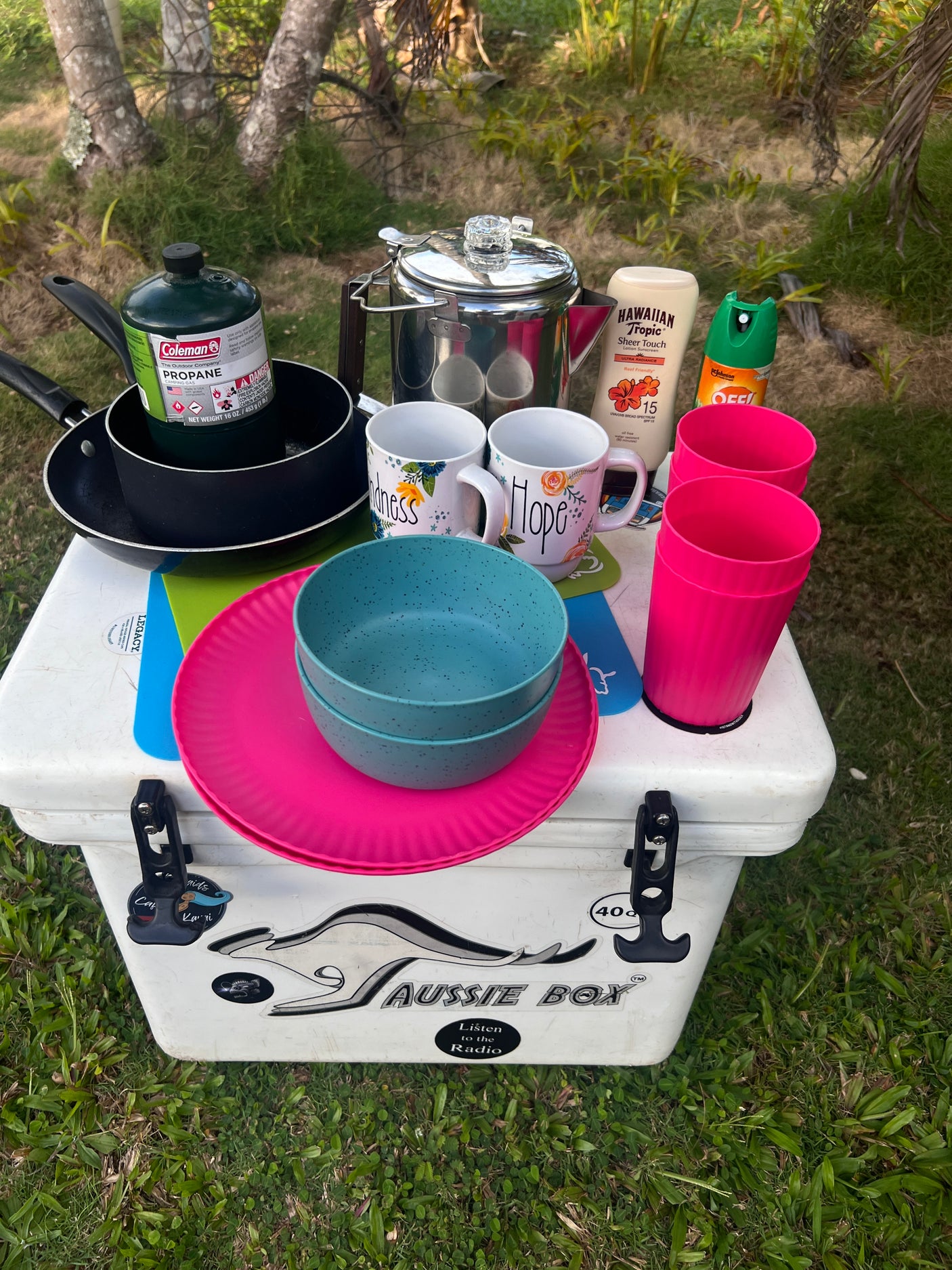 RV rental camping essentials: propane, cookware, dishes, and sunscreen on a cooler, ready for outdoor meals.