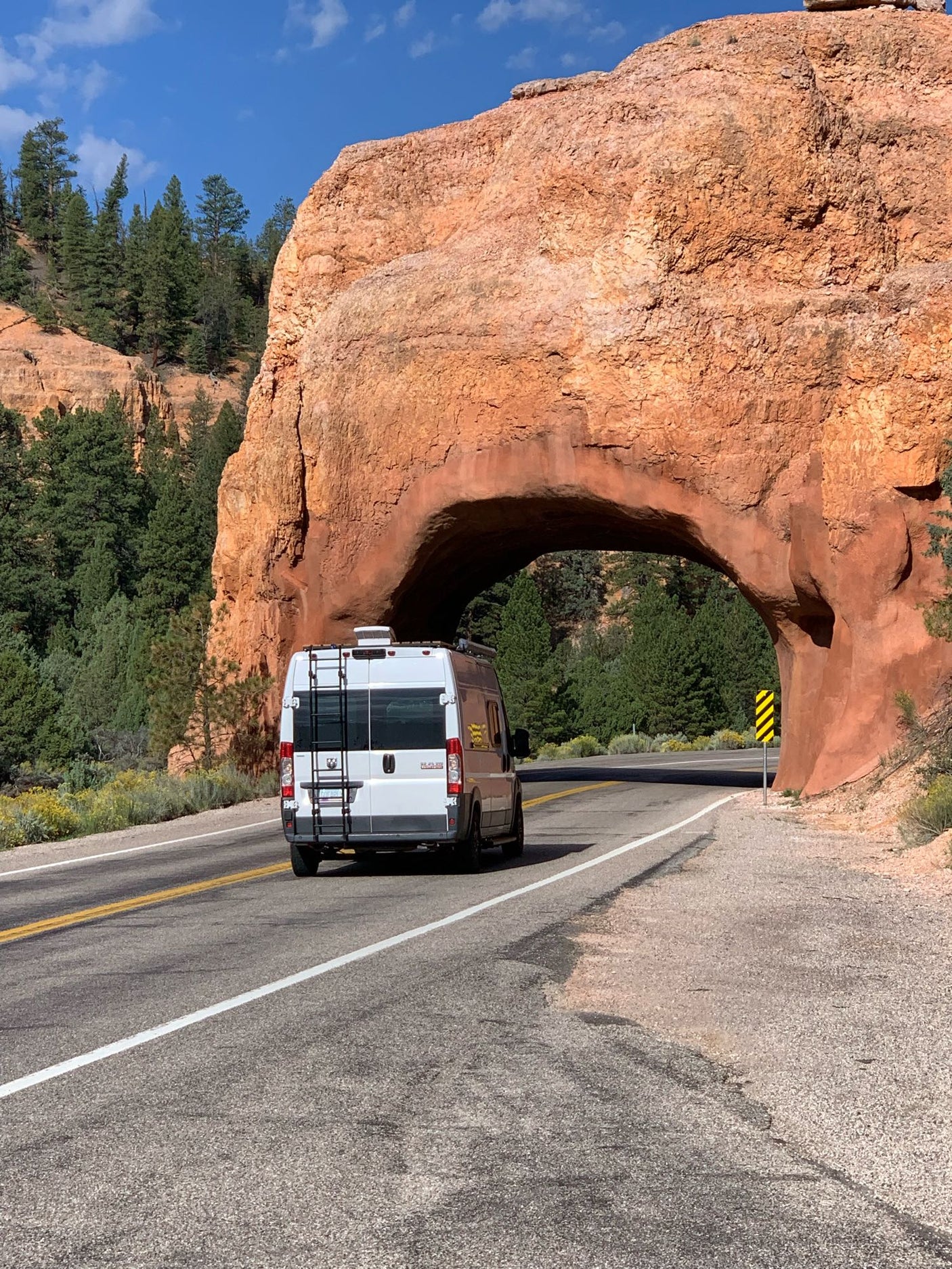 'The Farley' 2017 RAM Promaster 159" Adventure Van