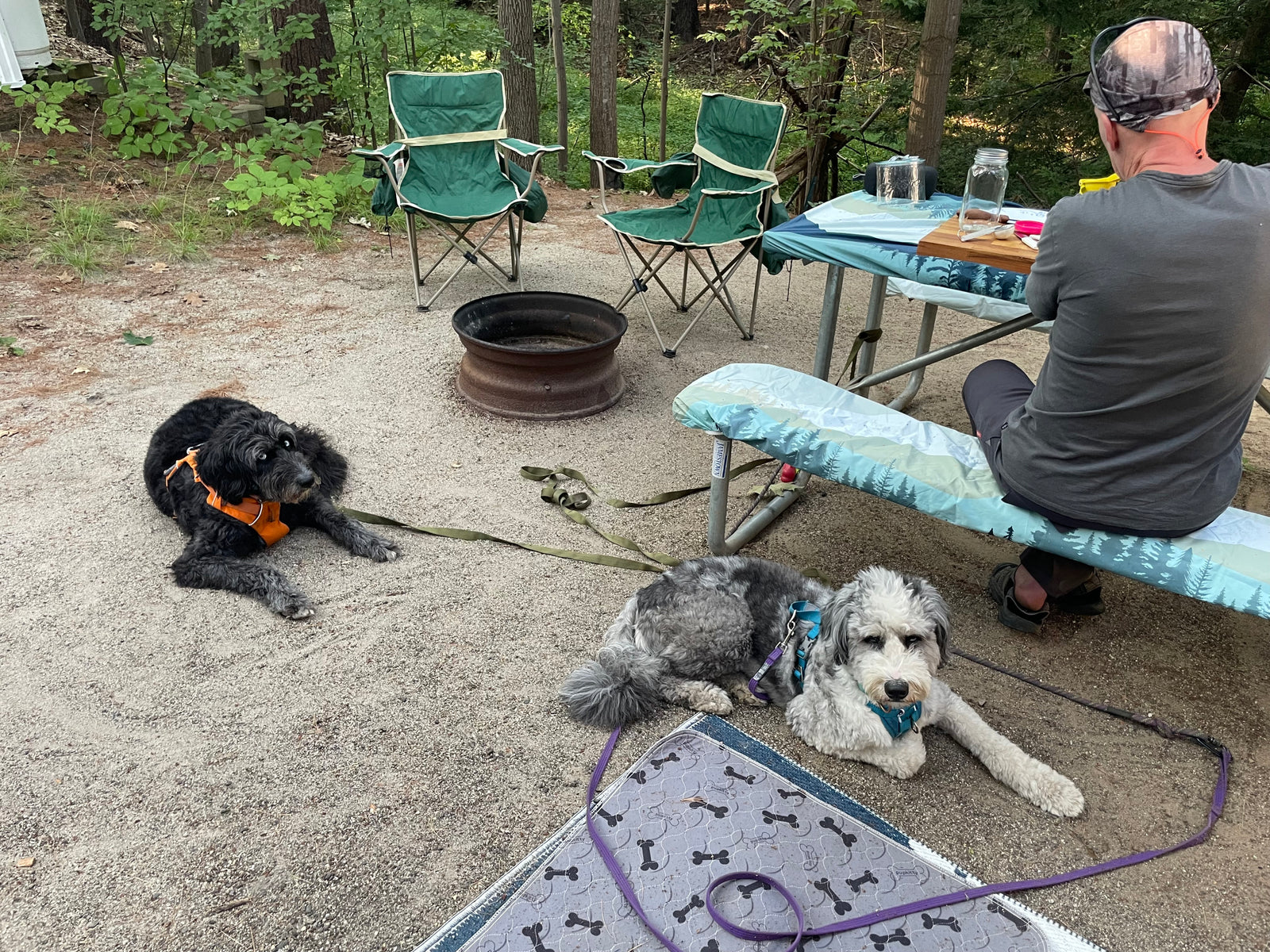 RV rental campsite view: A person at a picnic table with two dogs, a fire pit, and green camping chairs.