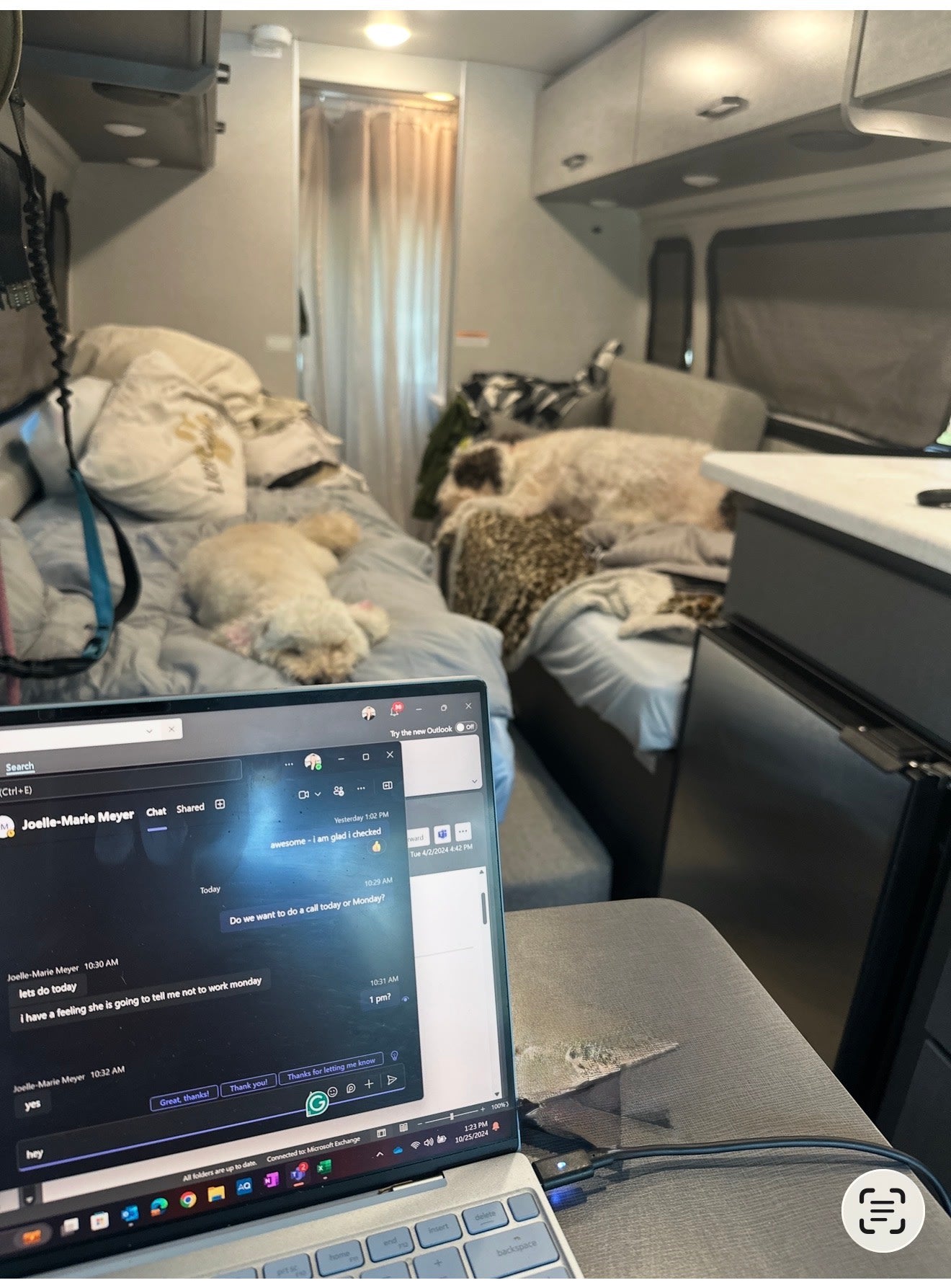 Remote work from an RV rental, with a laptop showing a chat and two dogs comfortably sleeping inside.