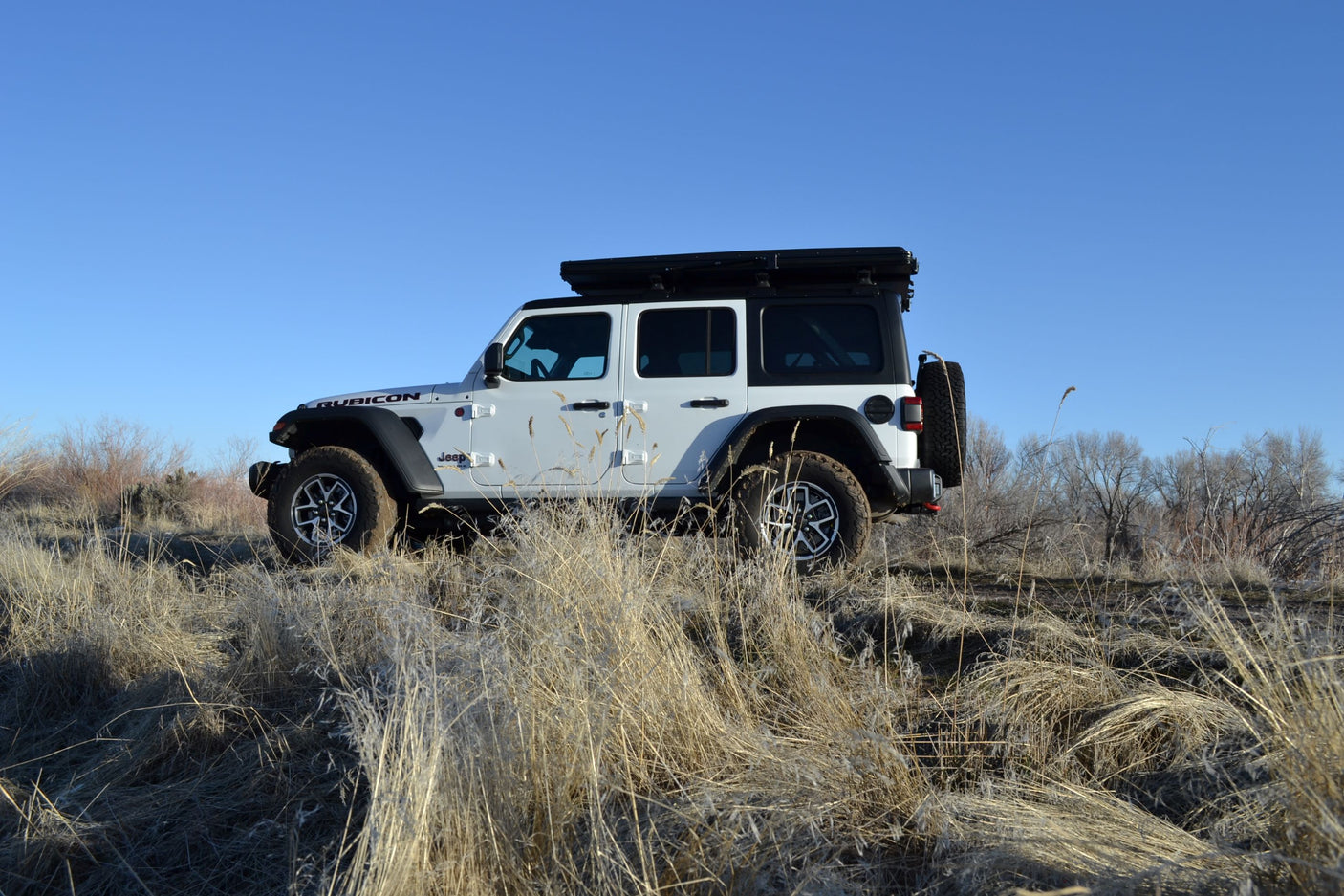 White Jeep Wrangler Rubicon with rooftop tent, parked in dry grass under clear sky. Great for RV rental adventures.