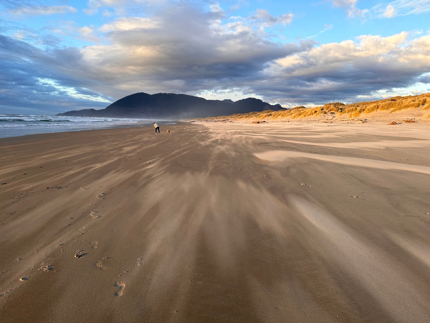 Discover vast beaches and scenic mountains perfect for an RV rental trip. See a person and dog strolling on the windy, sandy shore.