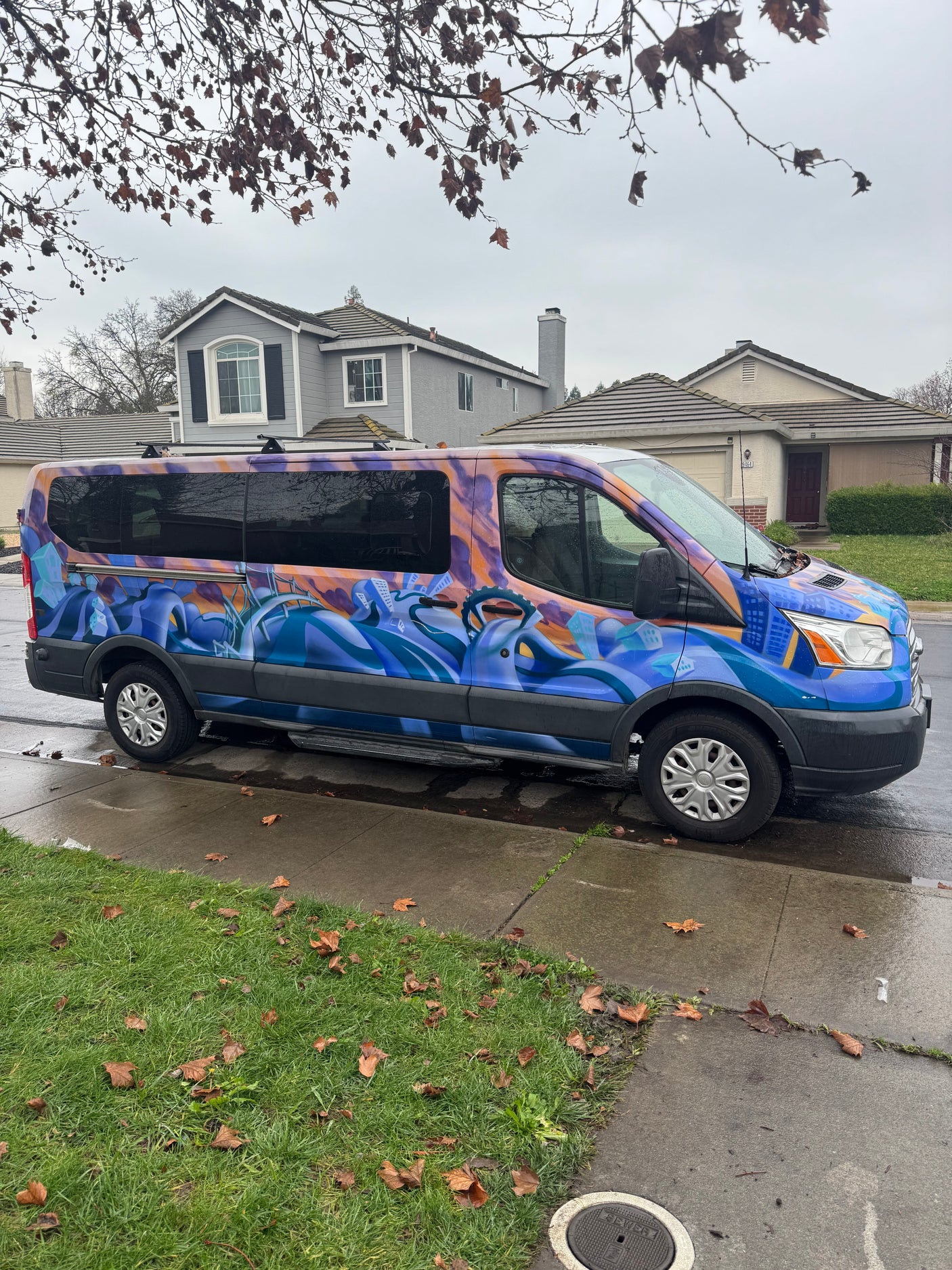 Customized rv rental van with vibrant art parked on a wet residential street under a cloudy sky.