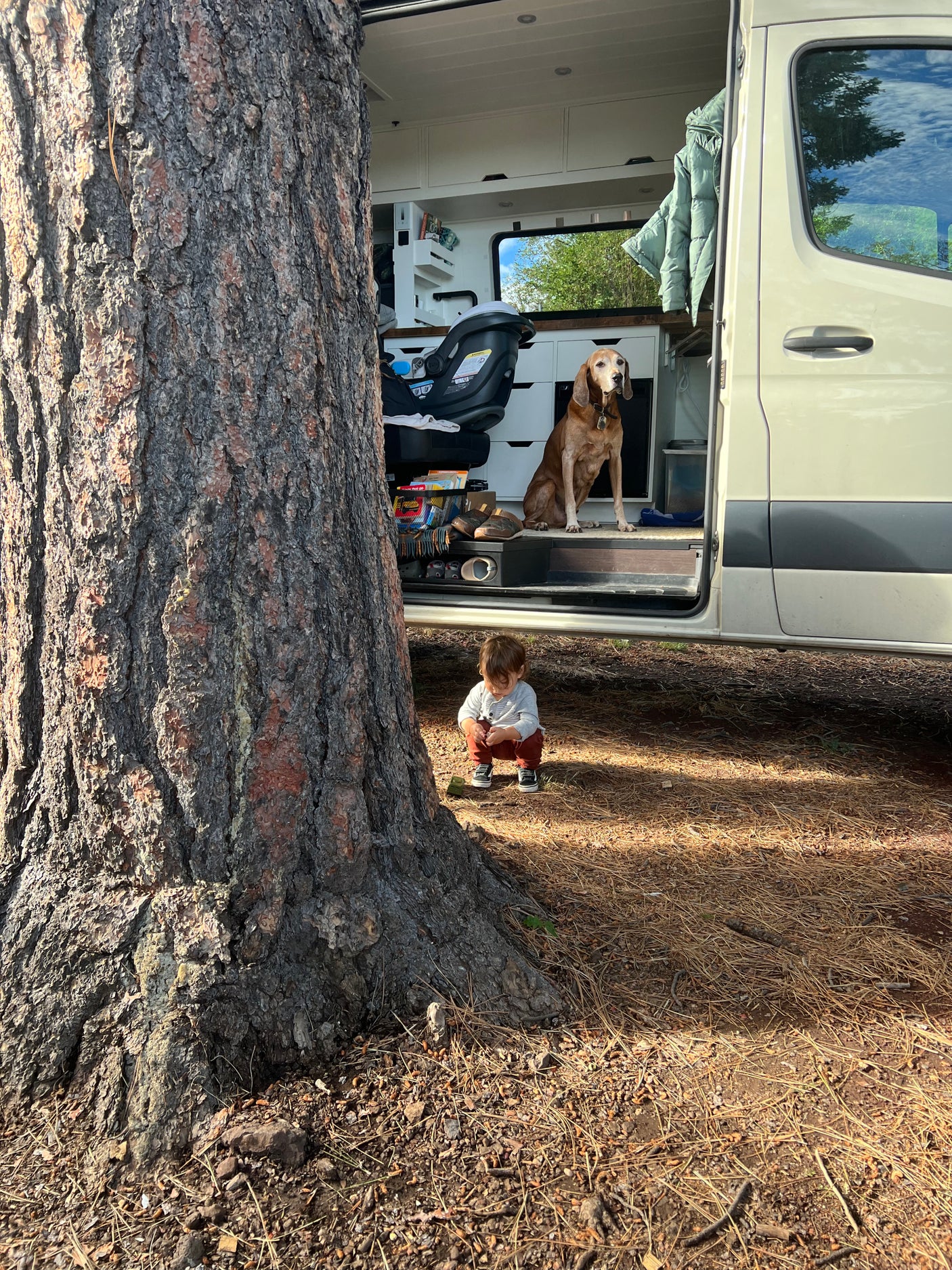 Family adventure with rv rental: A child plays by a tree, a dog waits in the custom camper van.