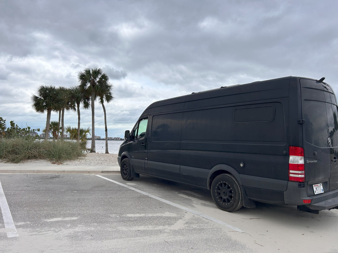 Black Sprinter van RV rental at a scenic beach with palm trees under a cloudy sky.