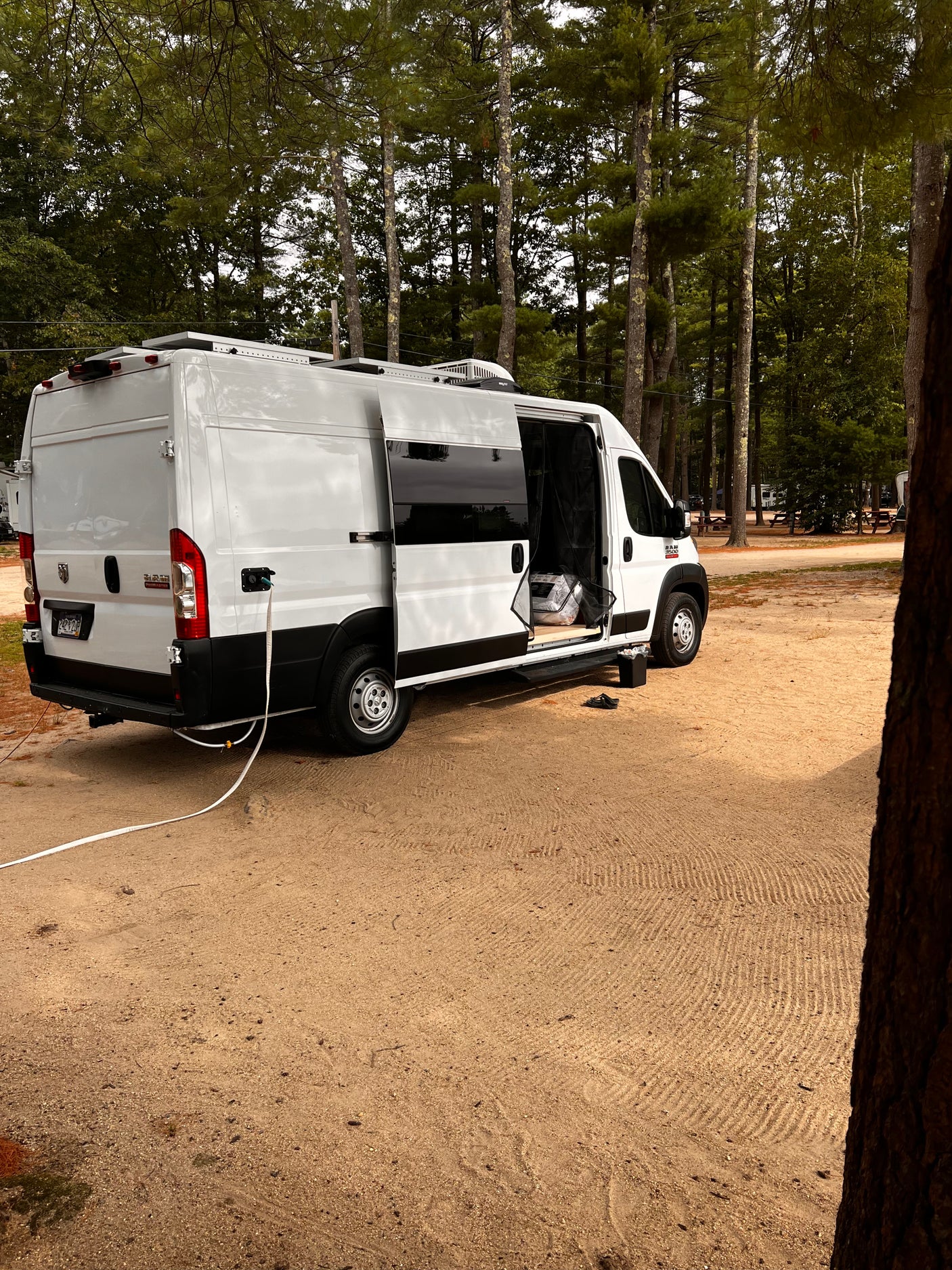 White RV rental van parked on a sandy campsite amidst tall pines. Side door open, utility hookup visible.