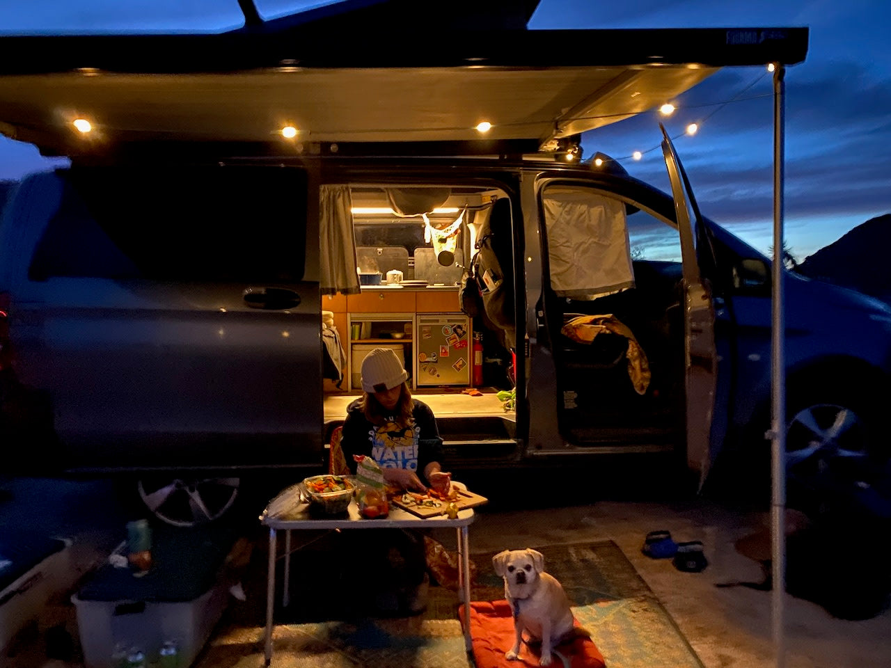 Evening at the RV rental: A person preps food outside their camper van, dog nearby, under a lighted awning.