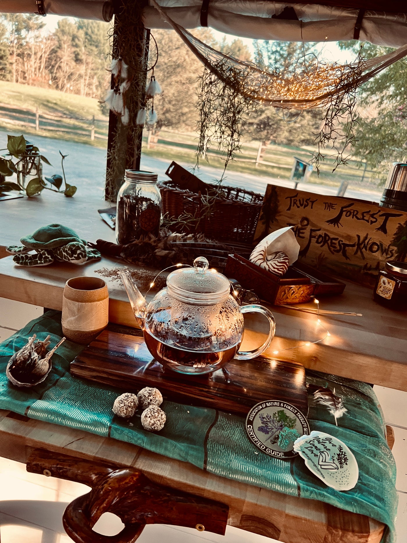 Relaxing tea time in an RV rental, surrounded by nature-themed decor and views of the forest. Forest therapy vibes! — photo 4