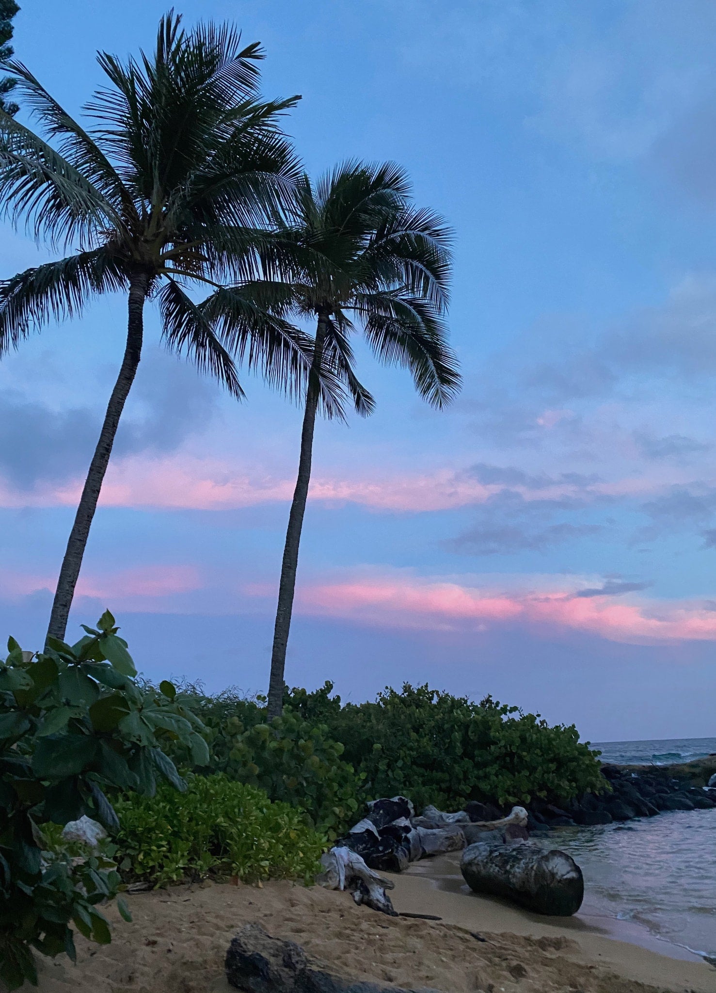 picnic table under trees. Consider an RV rental for coastal trips.|Coastal view from a parked RV rental: sandy beach