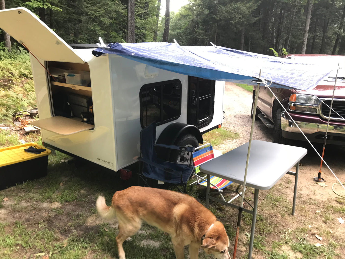Camping with an RV rental: a teardrop trailer with an open galley, awning, and dog at a rustic site.
