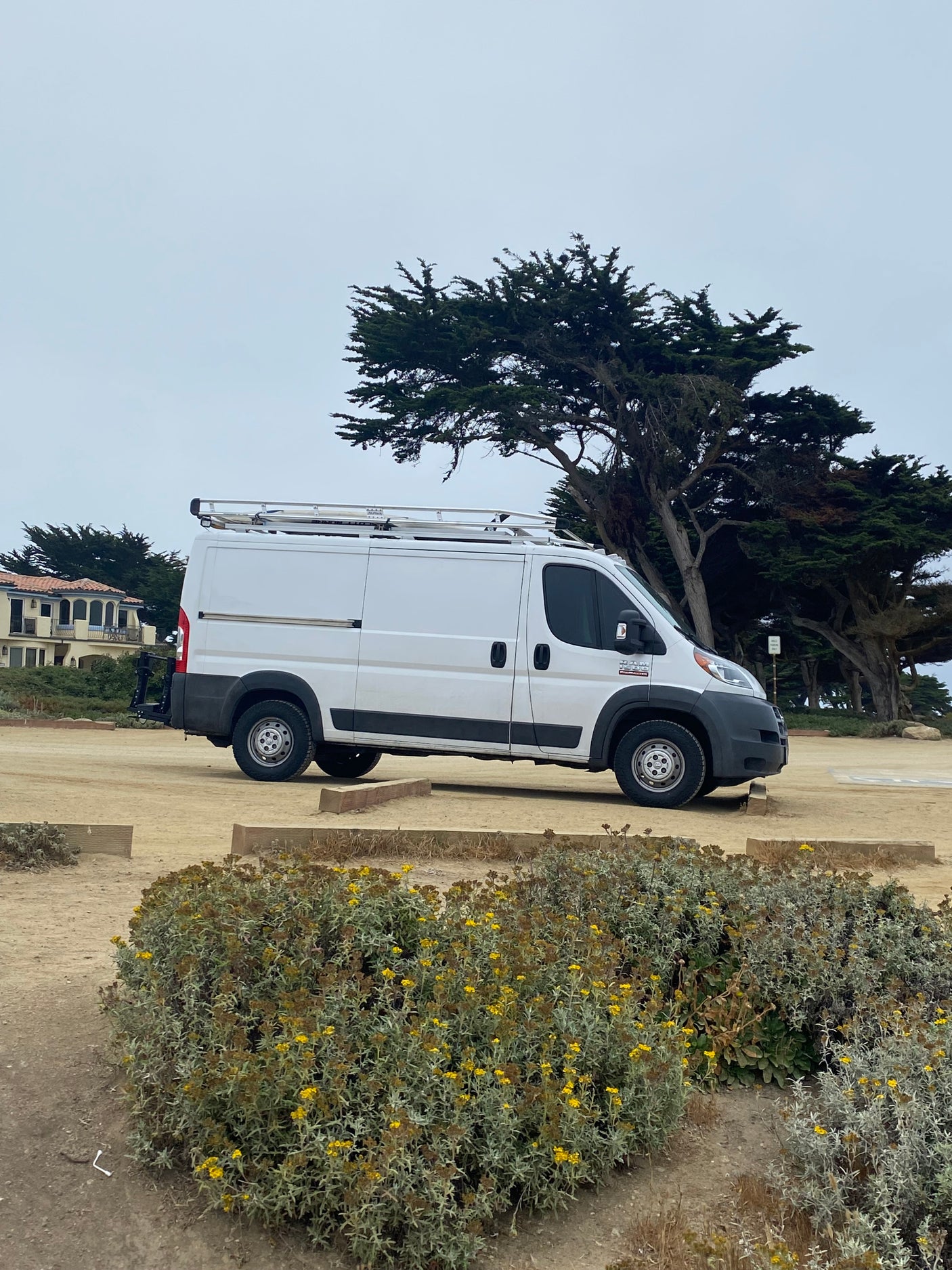 White Ram ProMaster van, often seen as an RV rental, parked in a sandy lot beside gnarled cypress trees under an overcast sky.