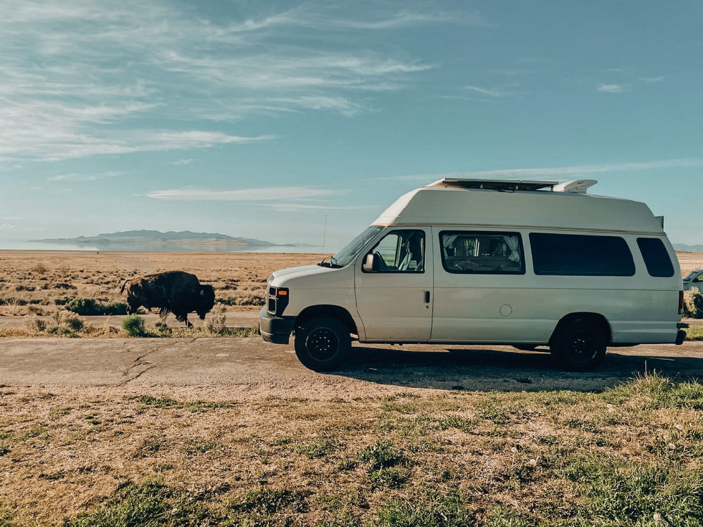 Experience an RV rental adventure: A white camper van with a surfboard and a wild bison. Scenic desert lake backdrop.