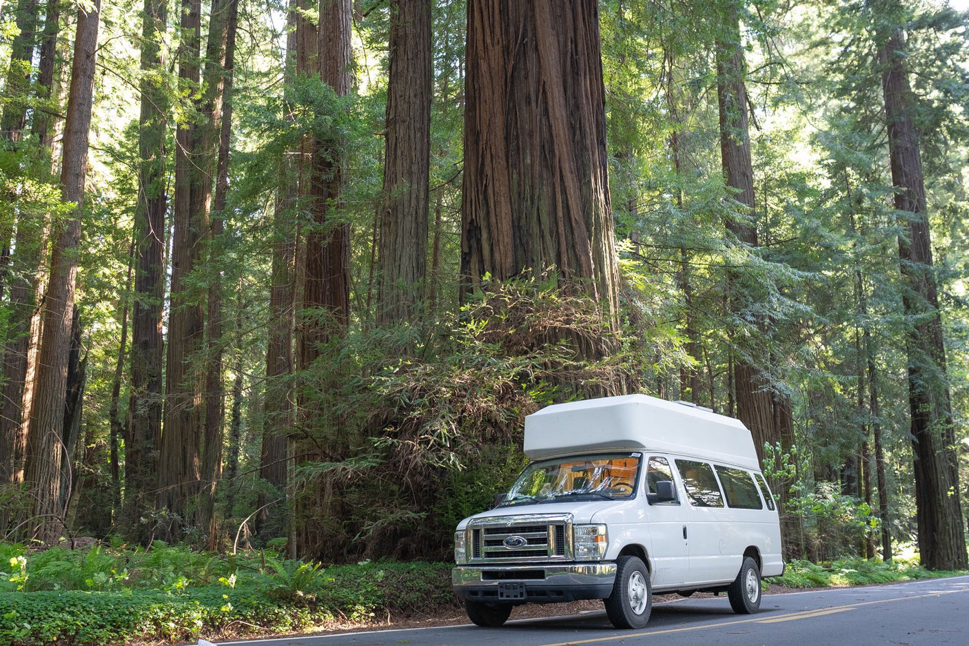 White RV rental van on a scenic road within a towering redwood forest. Ideal for nature travel and exploration.
