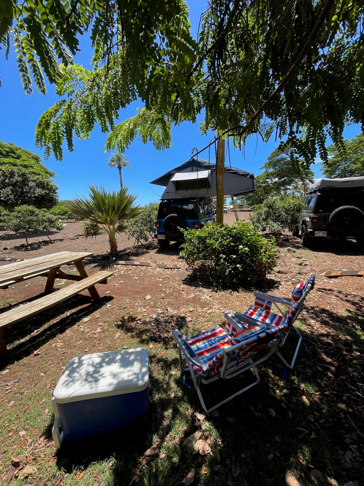 Enjoy your RV rental adventure! Two Jeeps with rooftop tents, a picnic table, chairs, and cooler in a sunny campsite. — photo 16