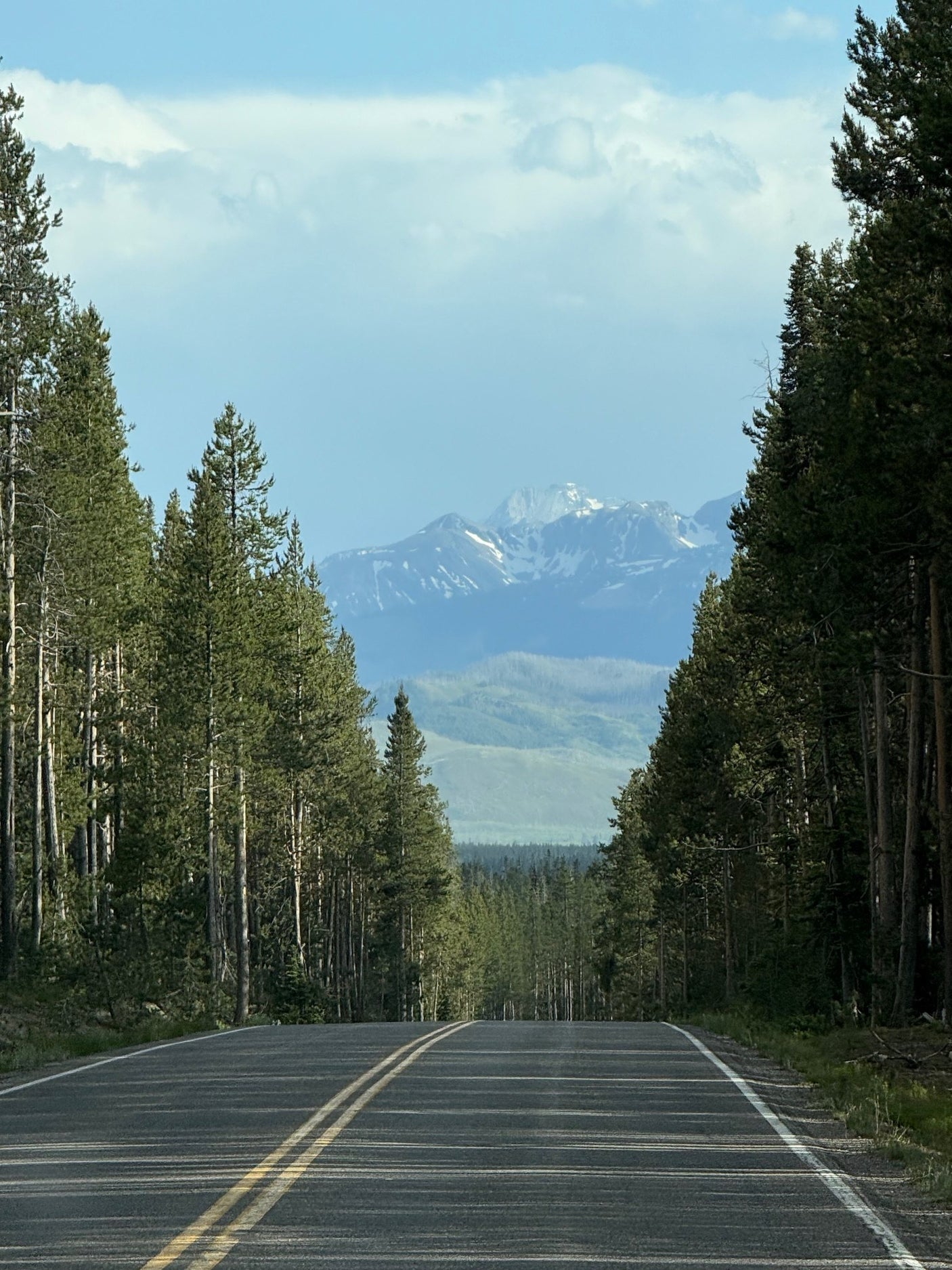 Scenic RV rental drive: road flanked by tall pines leads to majestic snow-capped mountains under a blue sky. Ideal for a nature road trip.