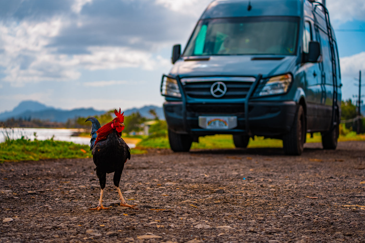"Big Blue" - Custom Vintage Mercedes Campervan! — photo 15