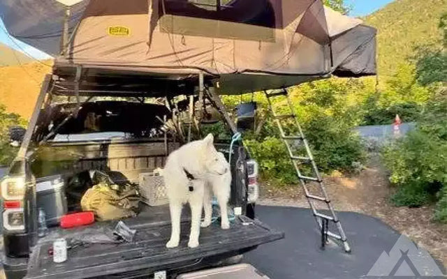 Smittybilt XL Overlander Gen2 Rooftop Tent — photo 3
