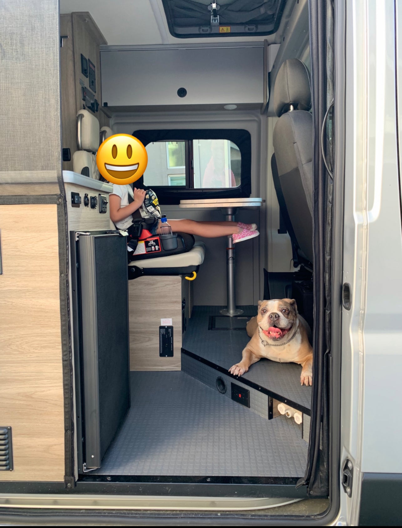 Inside a spacious RV rental: a bulldog and child relax in the modern camper van interior, ready for family adventures.