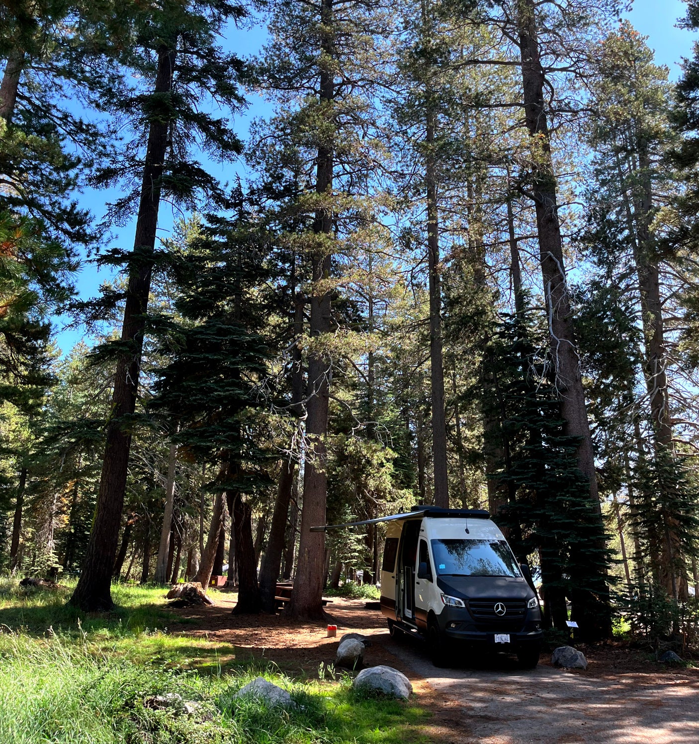 RV rental camper van parked in a sunny forest campground. Tall trees surround the peaceful campsite.