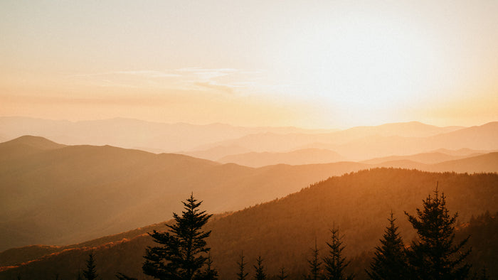 Golden sunset over layered mountains, with silhouetted pines. Perfect scenery for your RV rental adventure.
