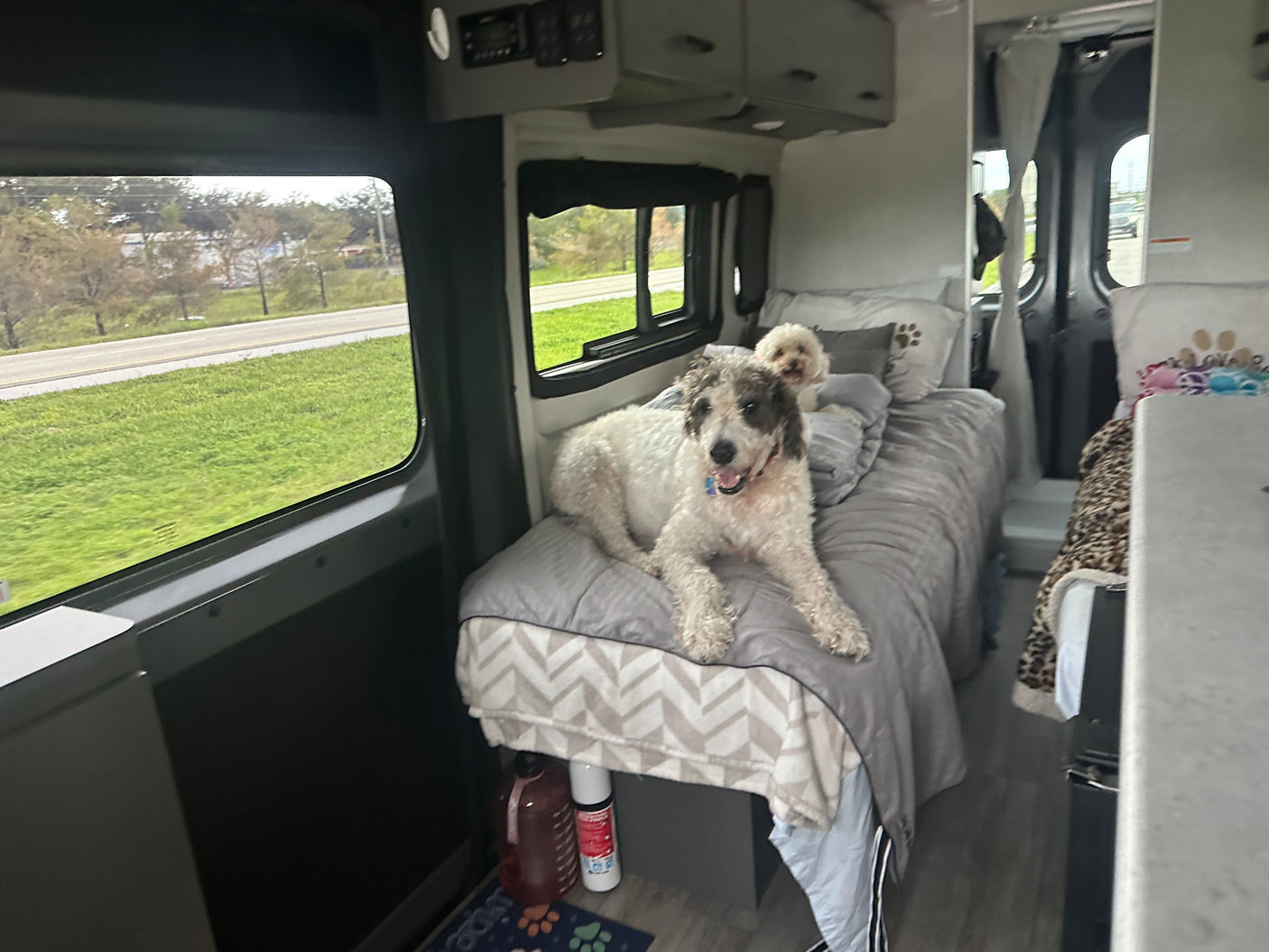 Cozy RV rental interior with two happy dogs on their beds, enjoying the roadside view. Ideal for pet-friendly travel.