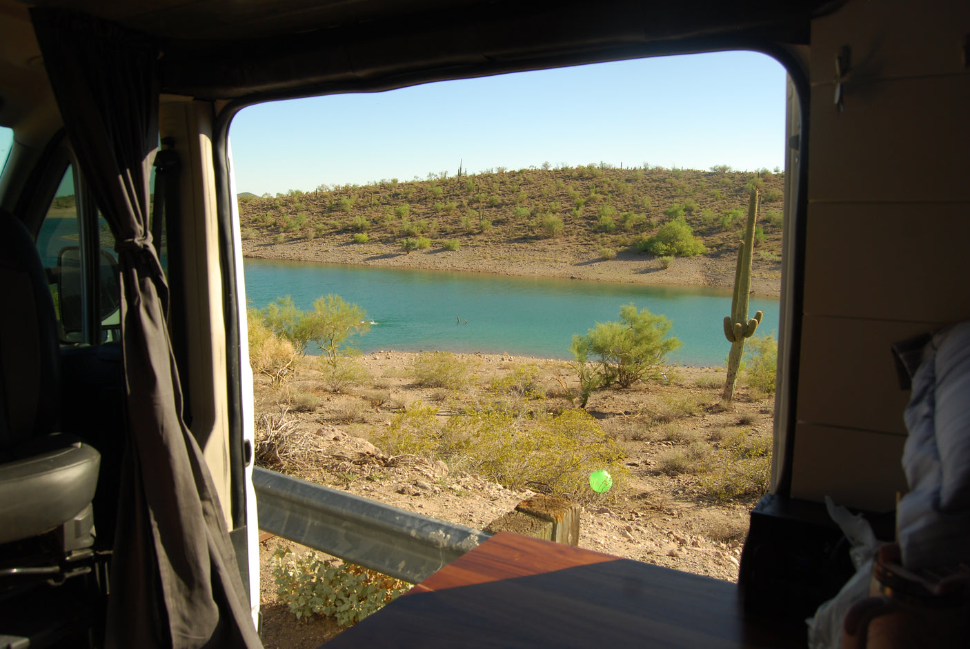 RV rental view: serene desert lake with a swimmer, hills adorned with saguaro cacti. Experience nature's beauty.