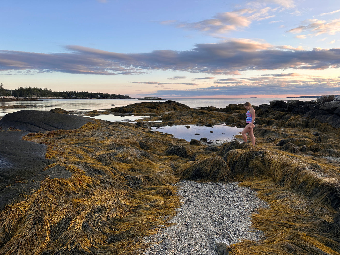 Discover serene coastlines! A girl explores tide pools & seaweed on rocky shores at sunset. Ideal for your next RV rental adventure.