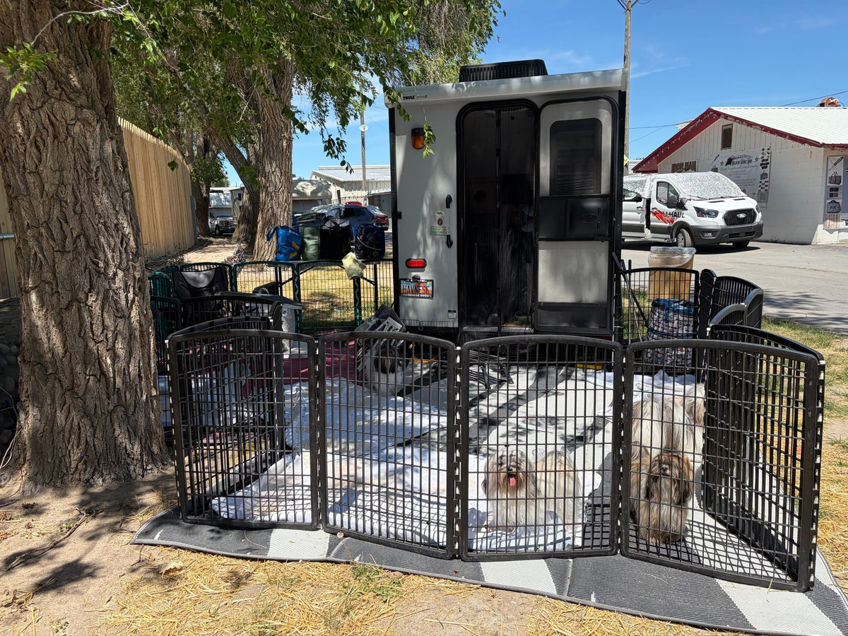 parked alongside other RV rentals at a shady campground.|RV campsite with fluffy dogs in a shaded playpen — photo 2