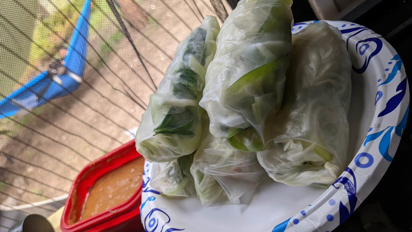 Fresh spring rolls with sauce on a paper plate, seen through a screen. Perfect meal for your RV rental journey.