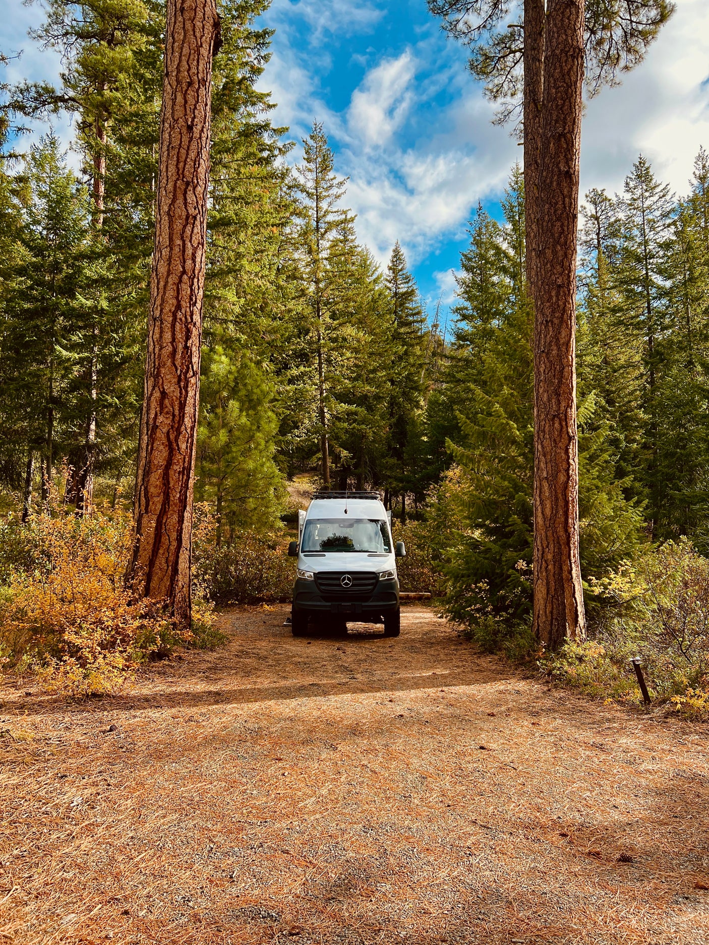 A white Mercedes Sprinter RV rental is parked in a serene forest clearing, framed by tall pine trees and a blue, cloudy sky.