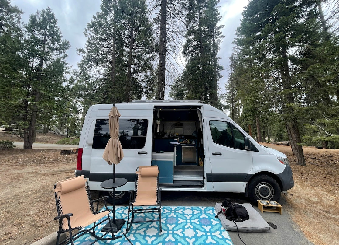 Serene forest scene with an RV rental camper van showing its open interior, outdoor seating, and a dog relaxing.