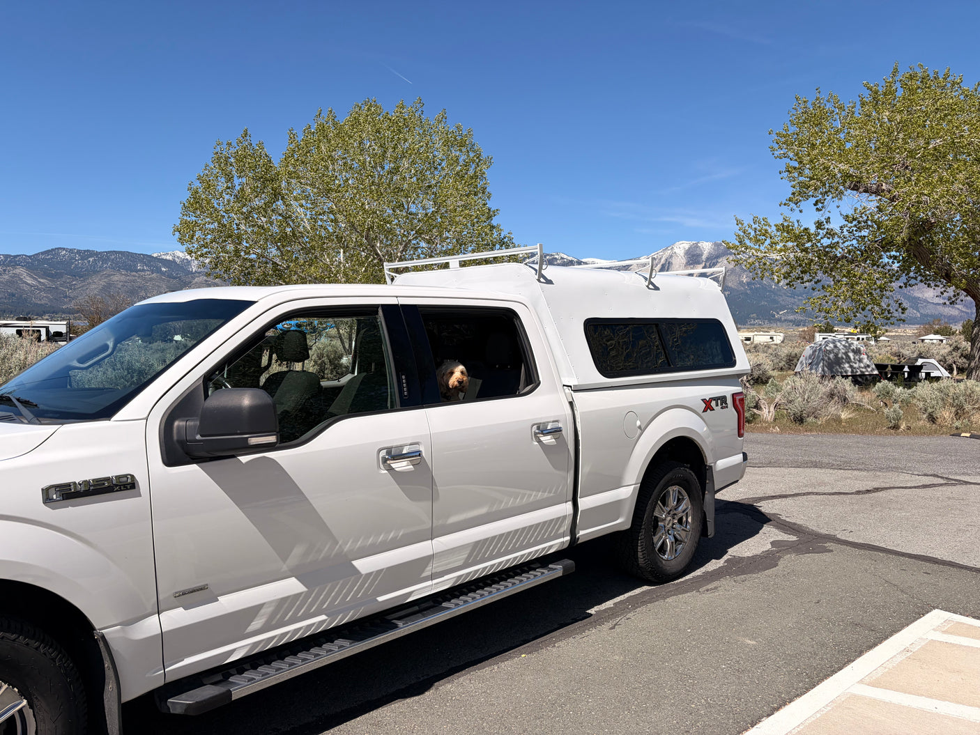 Scenic RV rental adventure! White Ford F-150 pickup with a happy dog and camper shell at a mountain campsite.