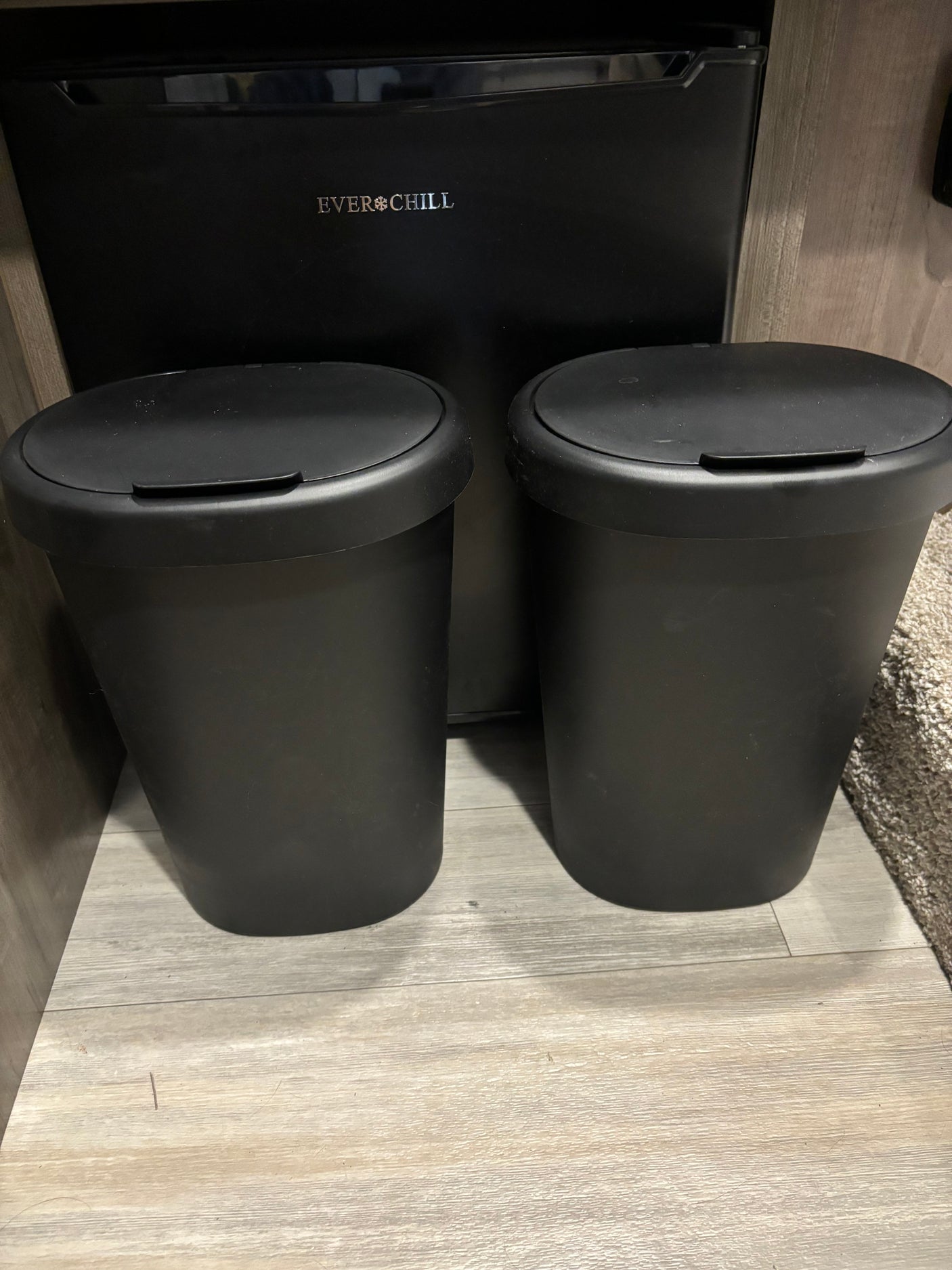 Two black trash bins and an Everchill mini-fridge, common amenities found inside an RV rental.