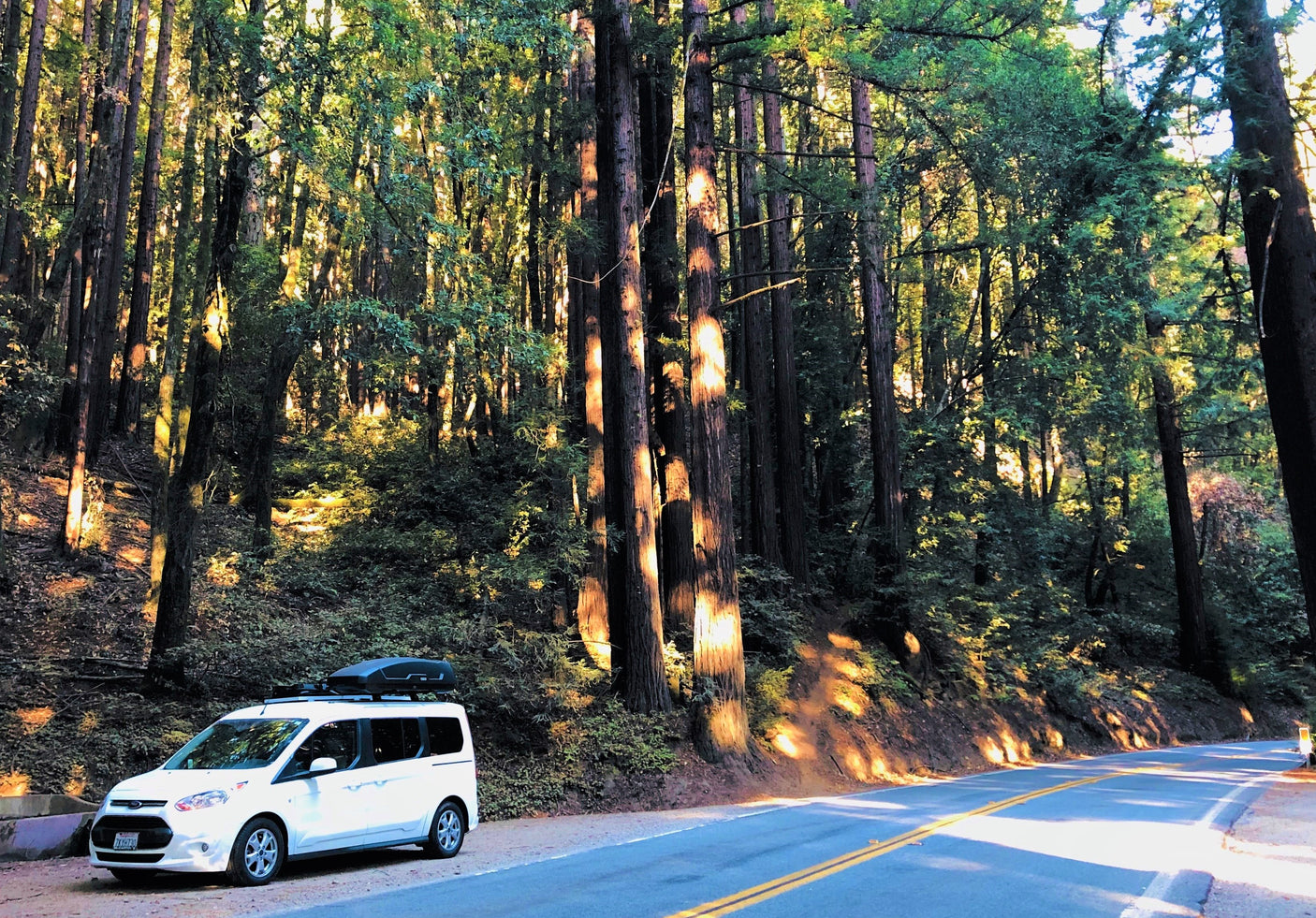 White RV rental van parked in a sunlit redwood forest, alongside a road.